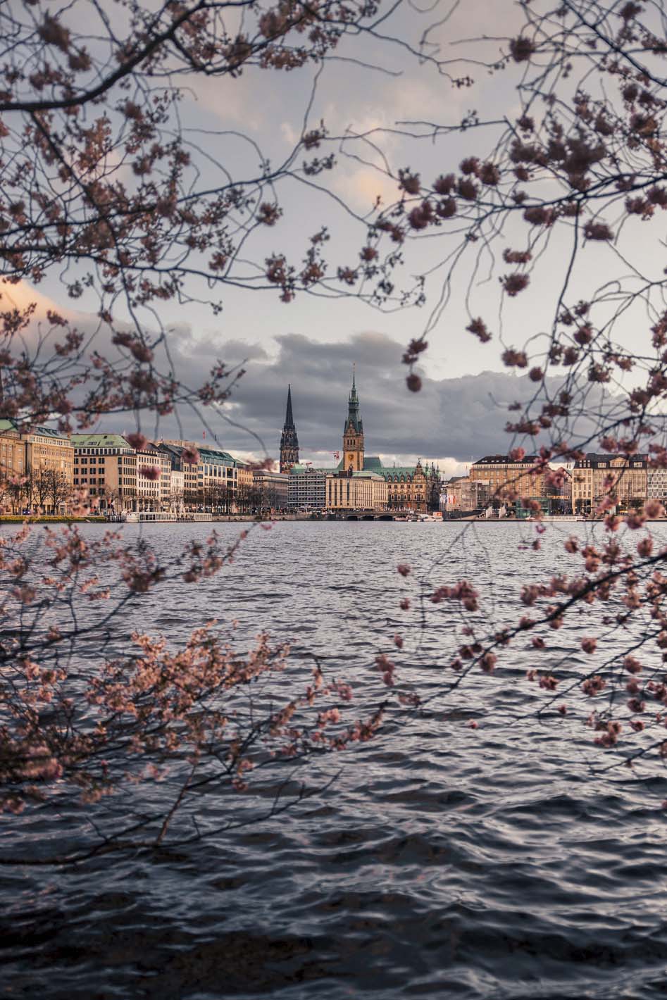 Binnenalster, Hamburg, Kirschblüten, Wasser, Frühling, HD, iPad-Hintergrundbild