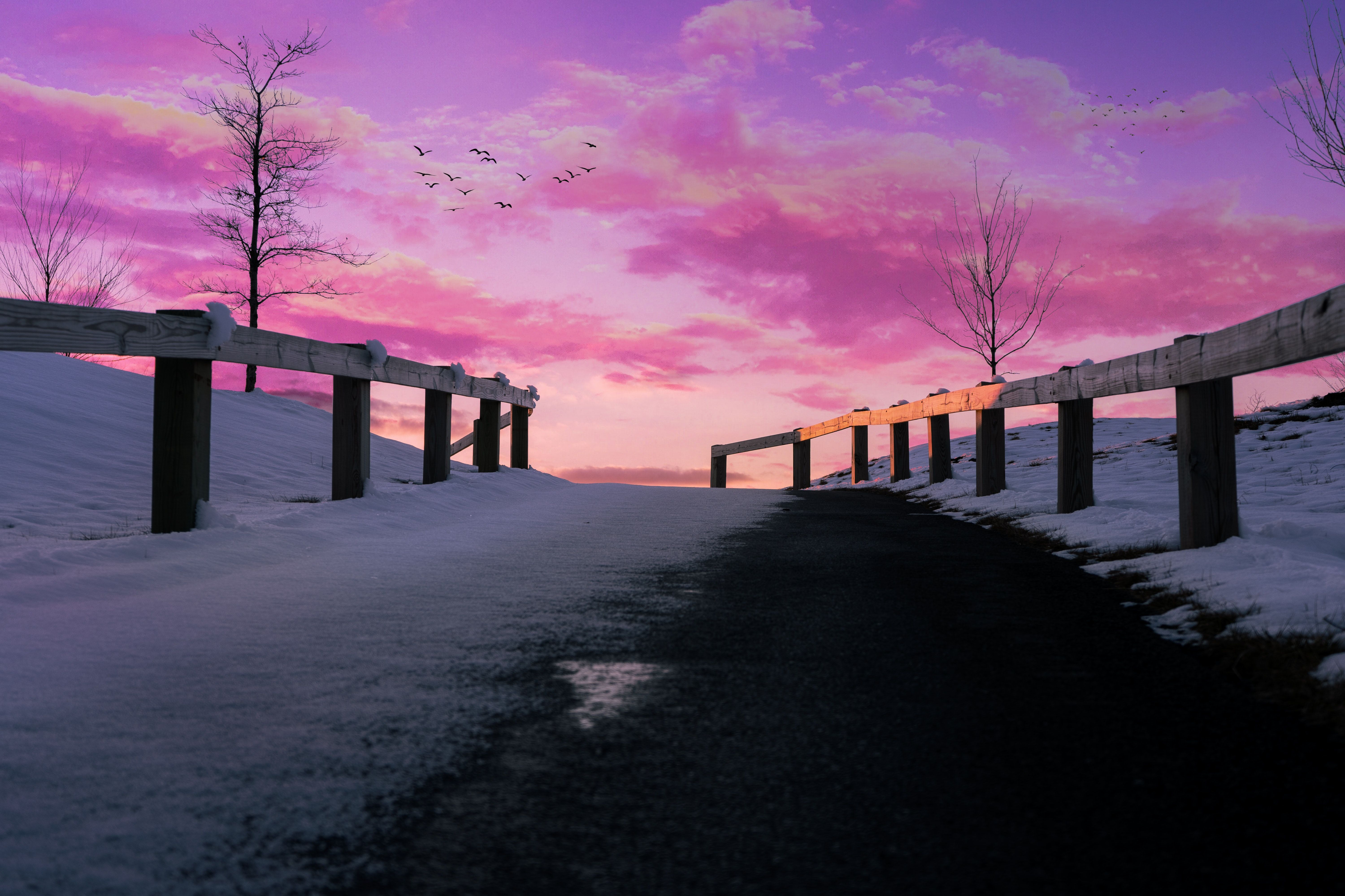 Weg, Zaun, Schnee, Sonnenuntergang, Kahle Bäume, Lila Himmel, 6K, Desktop-Hintergrund