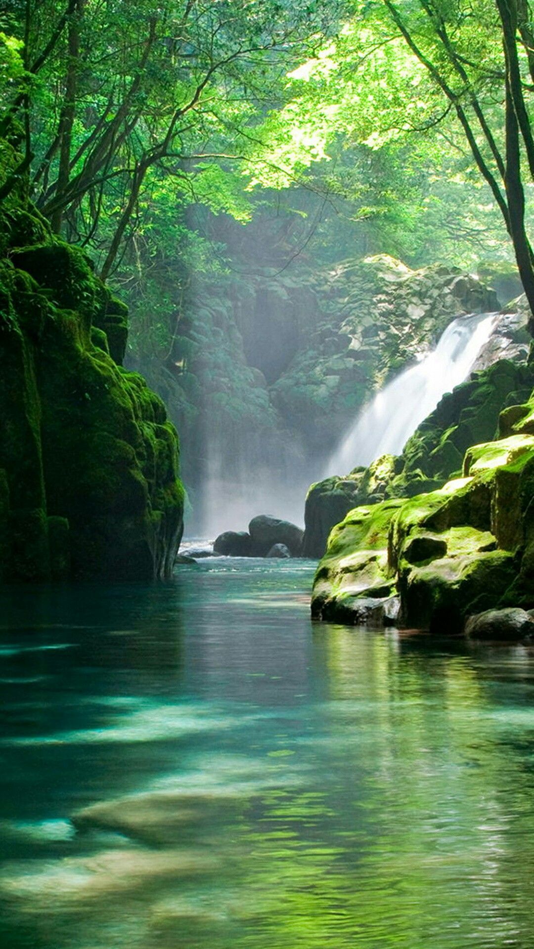 Wasserfall, Bach, Wald, Moos, Grün, Hochformat, Hintergrundbild fürs Smartphone