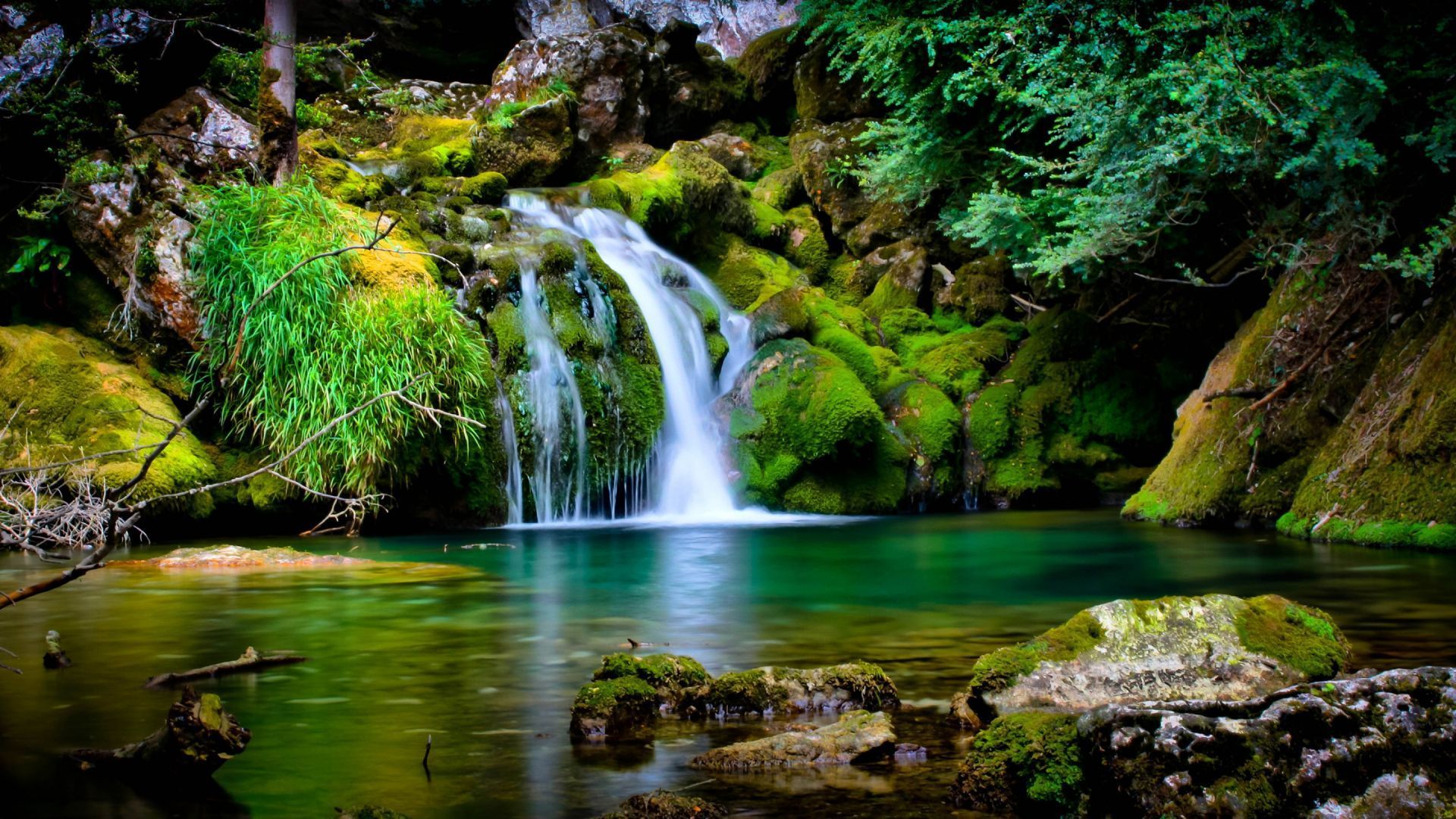 Wasserfall, Moos, Felsen, Teich, Grün, Full HD 1080p, Desktop-Hintergrundbild
