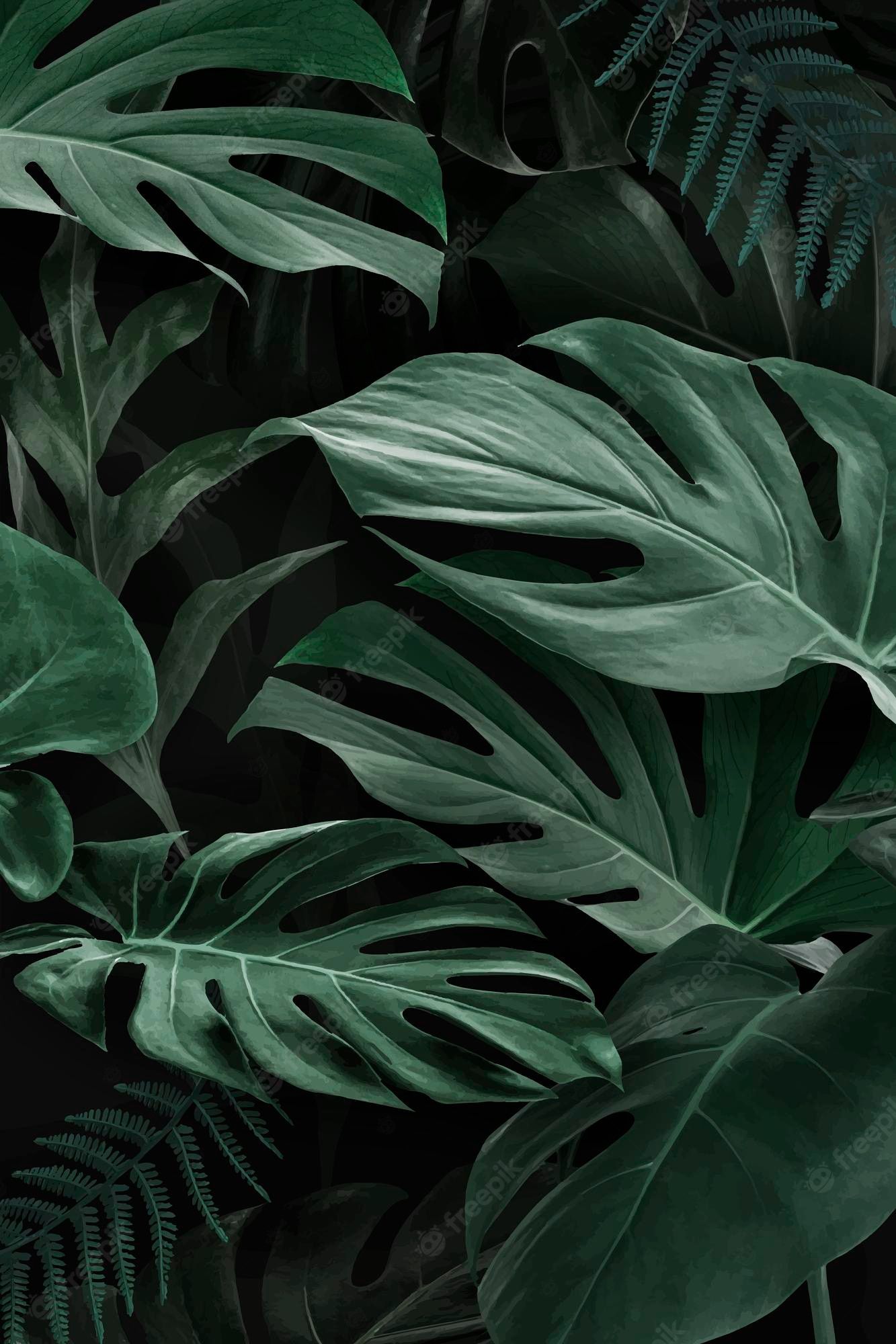 Monstera, Dunkelgrün, Dschungel, Tropisch, Dunkel, Full HD, Sperrbildschirm fürs iPhone