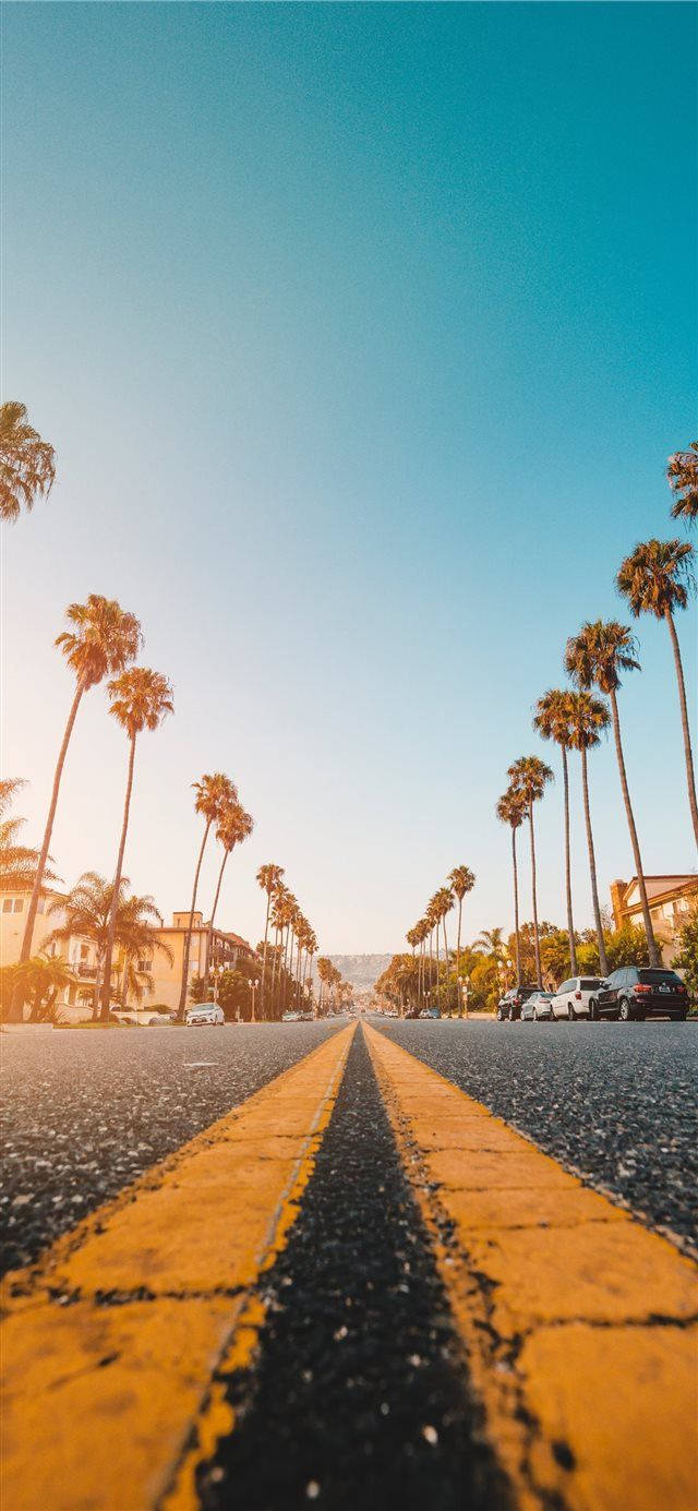 Straße, Palmen, Mittellinie, Blauer Himmel, Kalifornien, Hintergrundbild fürs iPhone 16 Plus