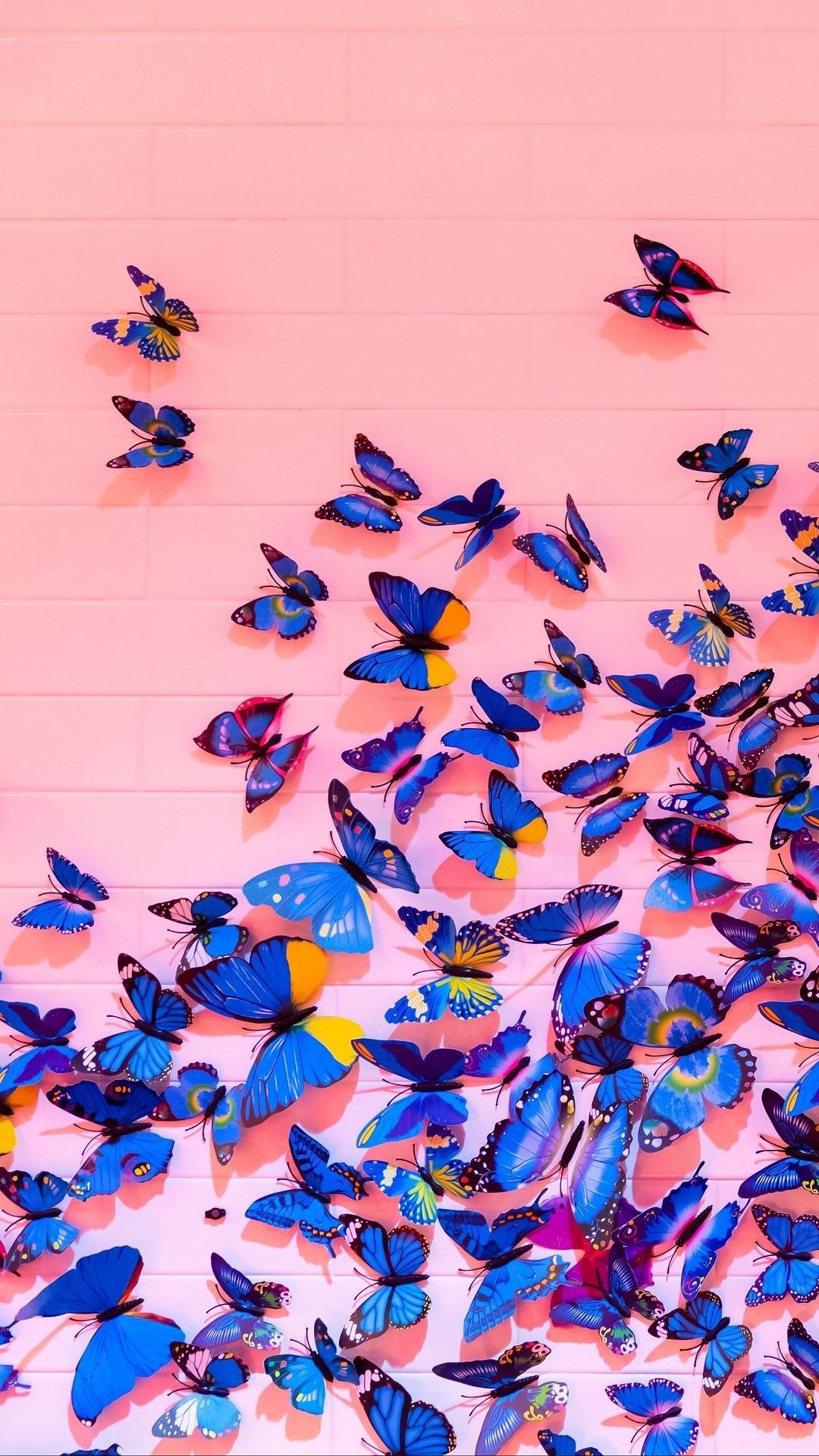 Schmetterlinge, Blau, Rosa Hintergrund, Schwarm, iPhone-16-Plus-Sperrbildschirm