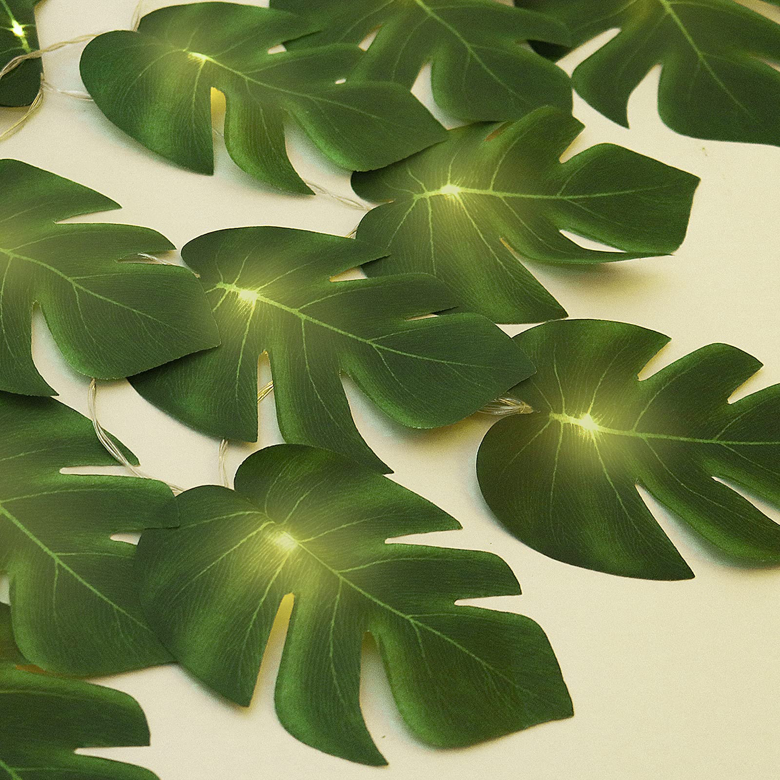 Monstera, Lichterkette, Beiger Hintergrund, Blätter, Flatlay, HD Wallpaper