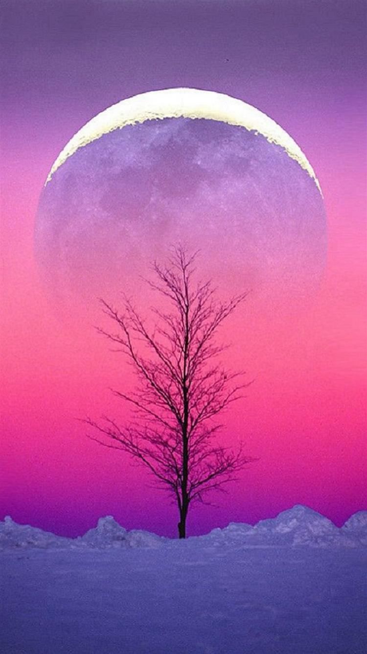 Mond, Baum, Silhouette, Pink, Lila, Schnee, iPhone 16 Plus, Handy-Hintergrund