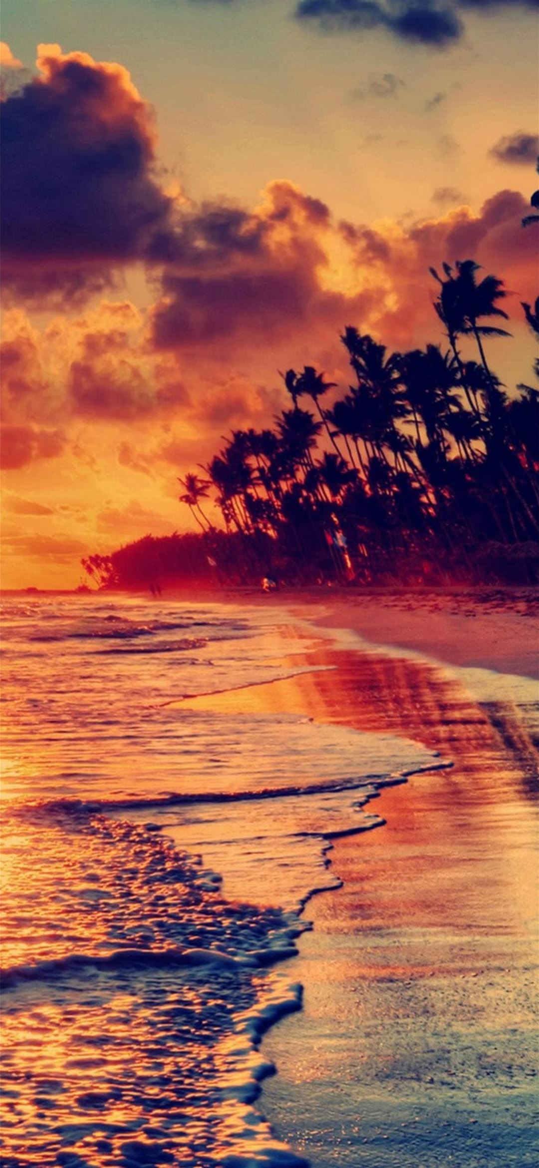 Strand, Palmen, Sonnenuntergang, Wellen, Tropen, iPhone-16-Plus-Wallpaper