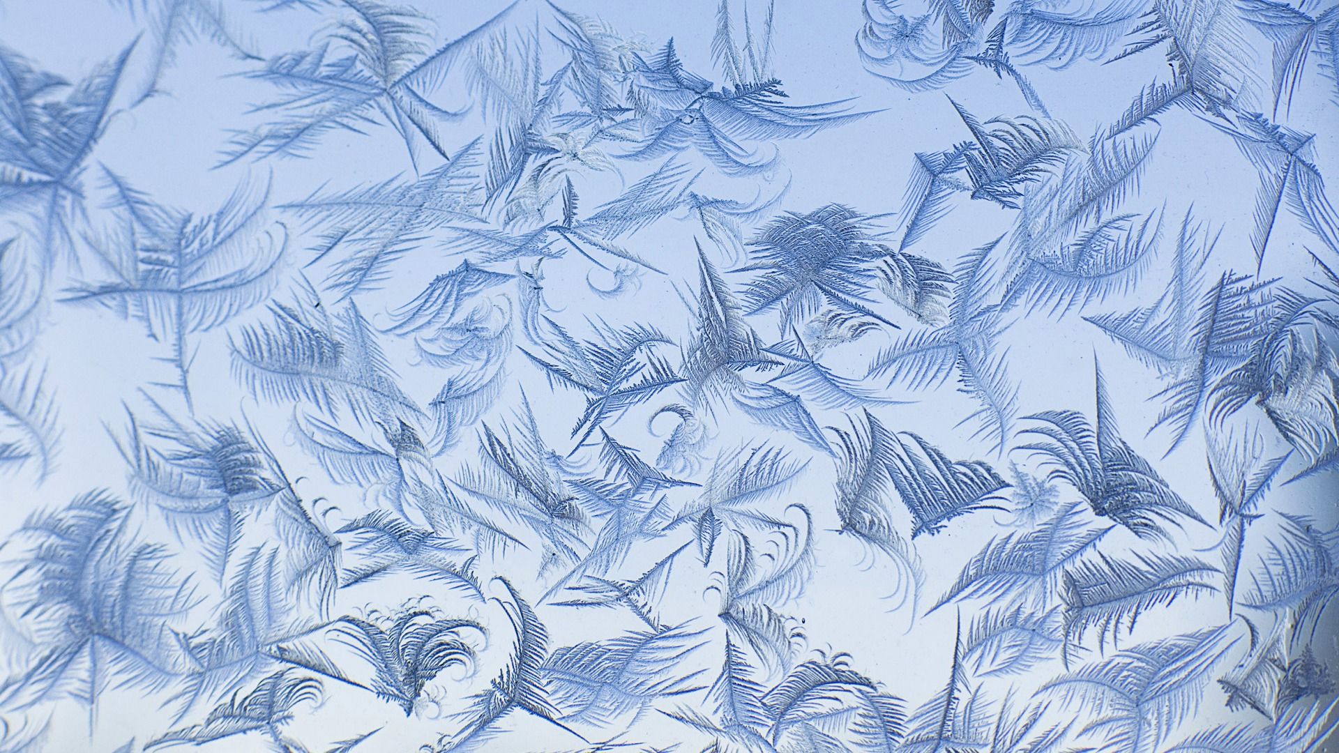 Eisblumen, Frost, Muster, Hellblau, Winter, Full HD 1080p, Desktop-Hintergrundbild
