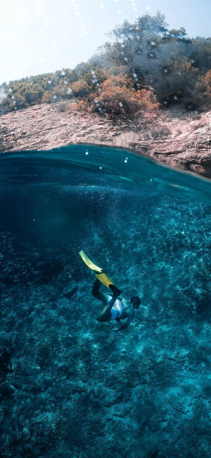 Schnorcheln, Halb über Wasser, Felsküste, Seegras, Splitview, HD, Handy-Hintergrund