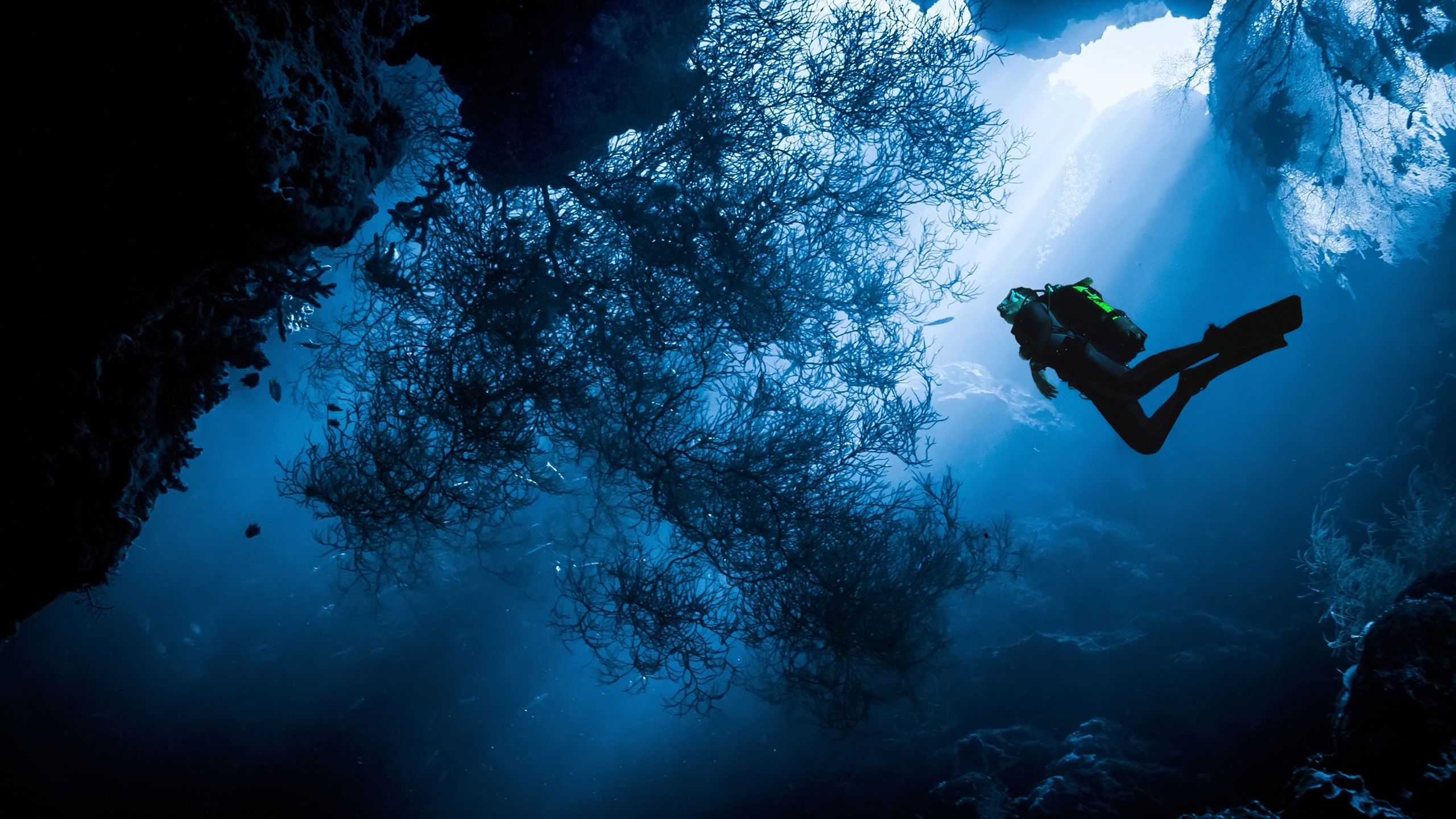 Taucher, Fischschwarm, Unterwasserhöhle, Lichtstrahlen, Silhouette, 2K, PC-Hintergrundbild