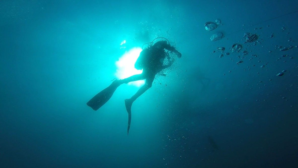 Taucher, Gegenlicht, Silhouette, Fische, Türkis, Hintergrund