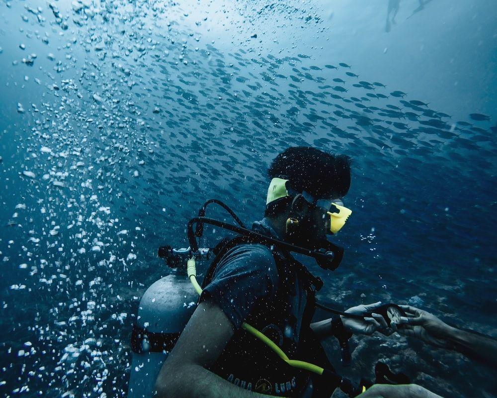 Taucher, Fischschwarm, Luftblasen, Tauchmaske, Unterwasser, Hintergrundbild