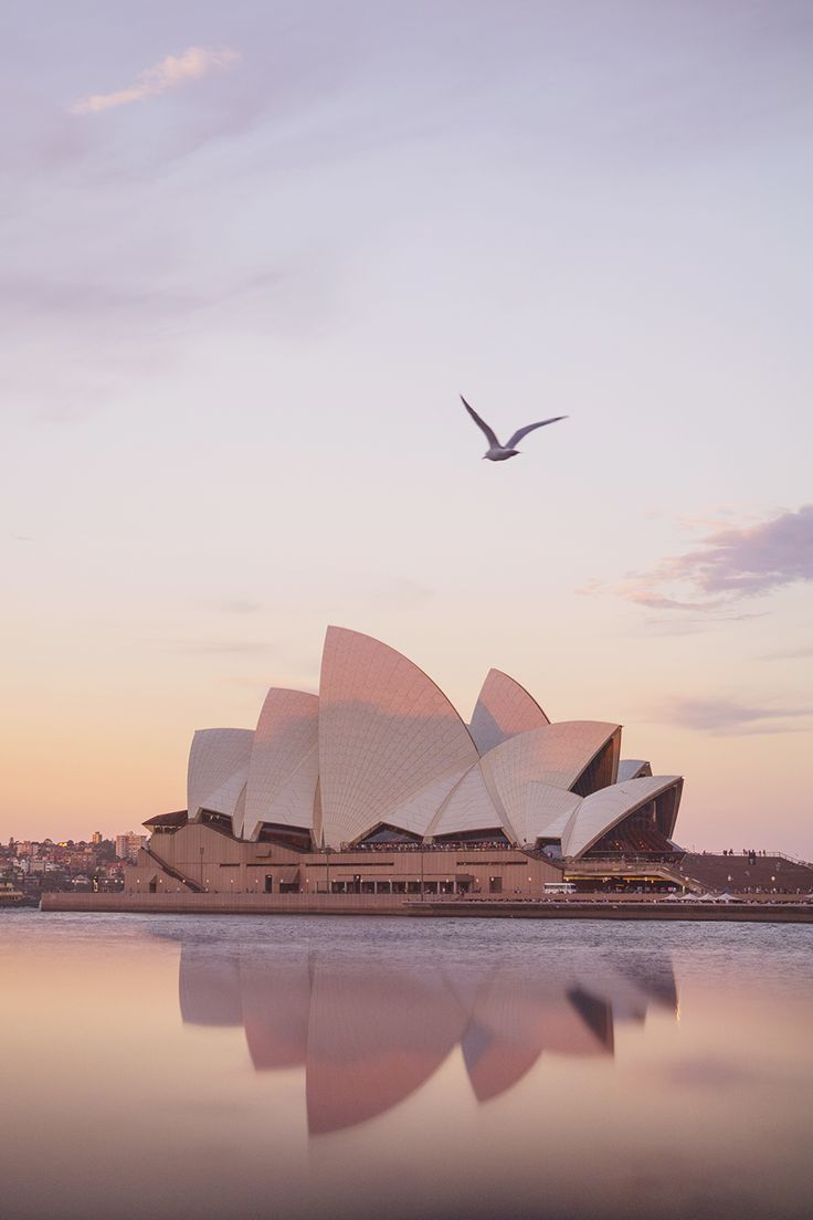 Sydney Opera House, Sydney, Möwe, Pastellhimmel, Spiegelung, Android-Hintergrundbild