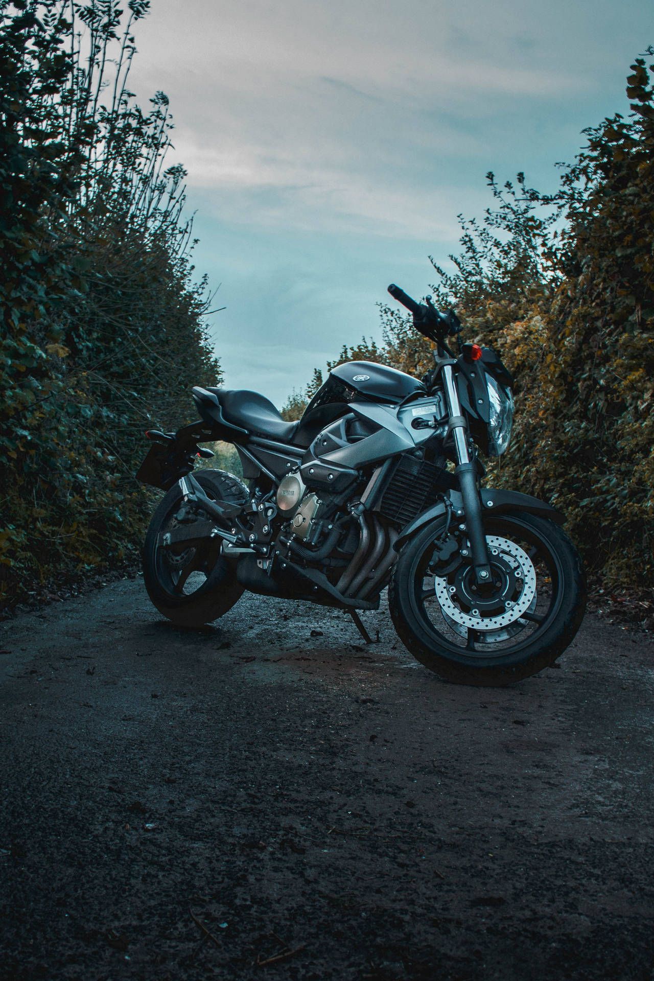 Naked Bike, Straße, Bäume, Froschperspektive, Blaugrau, Hintergrundbild für iPhone und Android