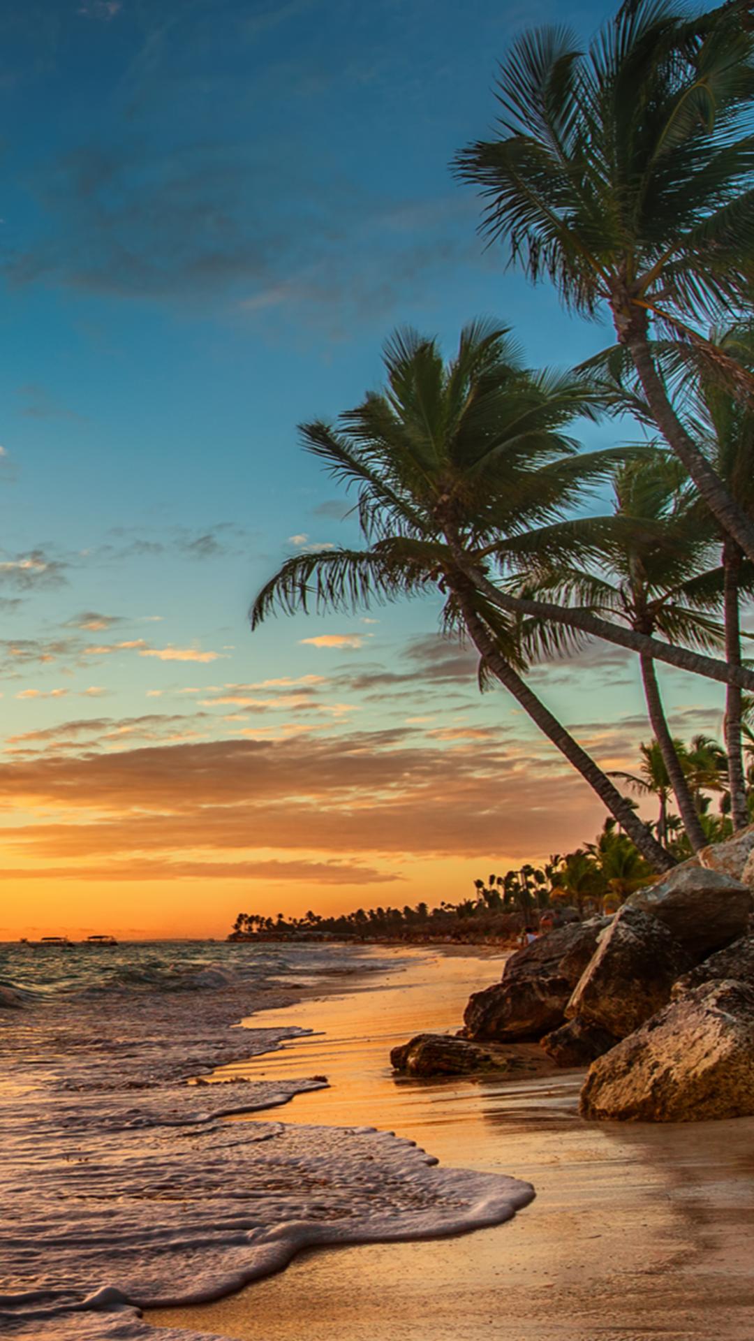 Palmen, Strand, Sonnenuntergang, Meer, Tropen, Full HD, Hintergrundbild fürs Handy