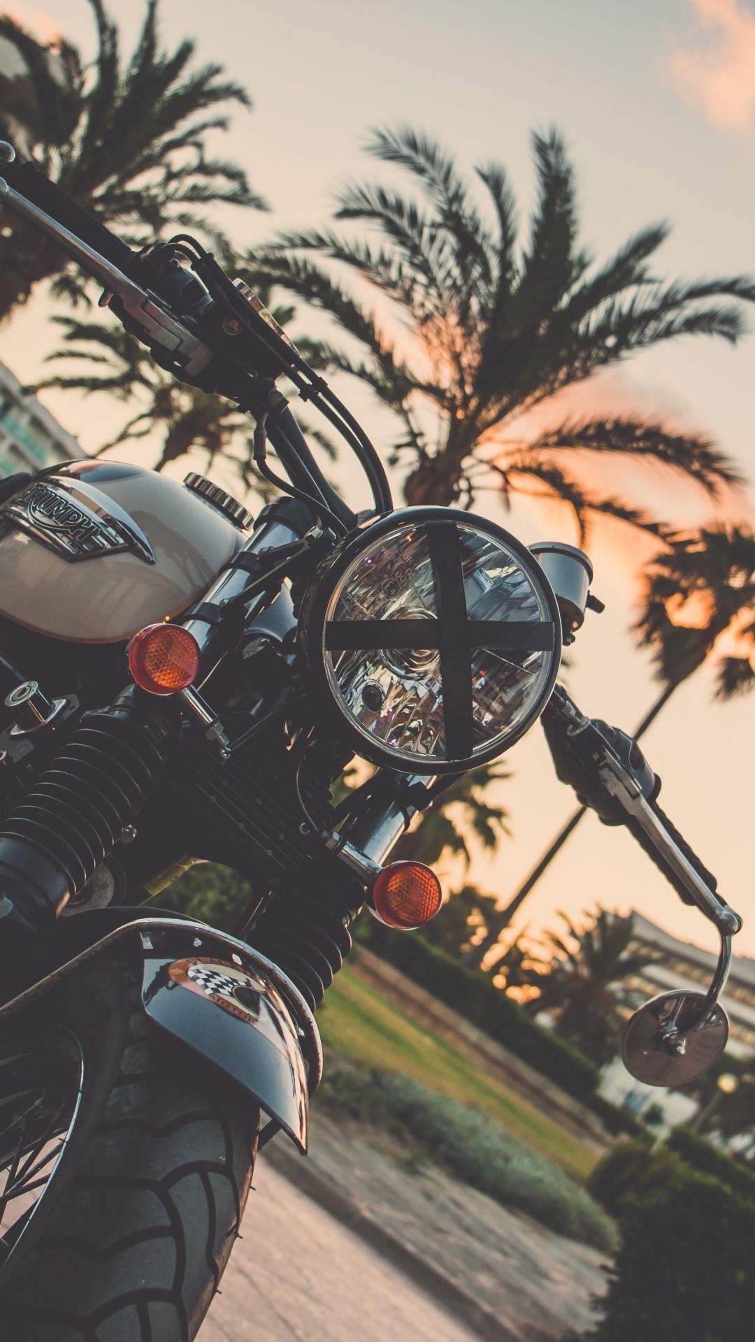 Retro-Motorrad, Scheinwerfer, Palmen, Detail, Sonnenlicht, 1080x1920, Handy-Hintergrund