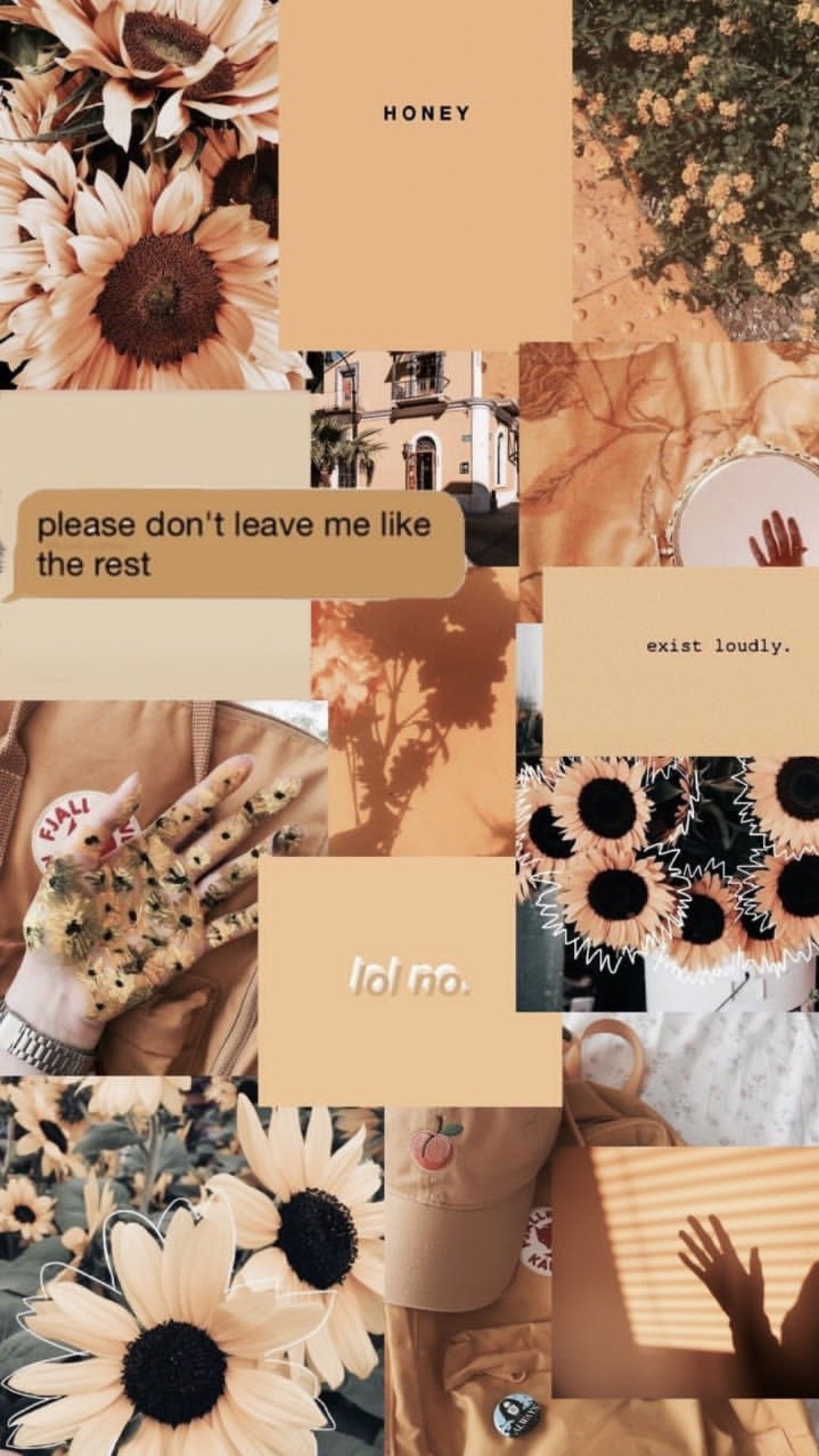 Collage, Sonnenblumen, Braune Ästhetik, Zitate, Vintage, Full HD, iPhone-Hintergrundbild