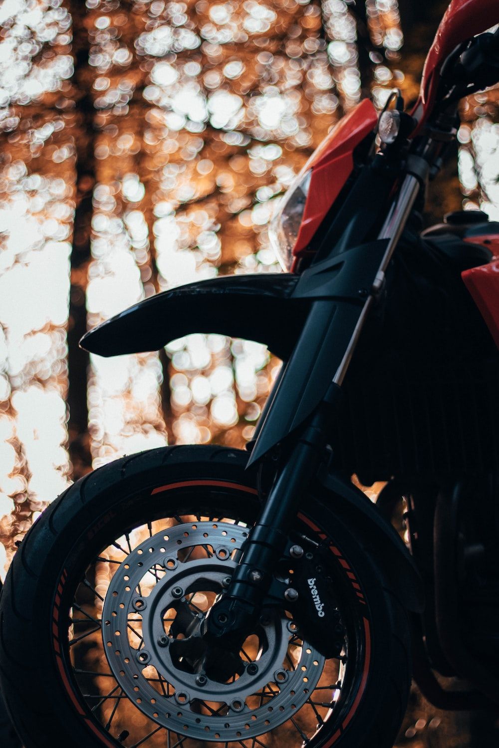 Supermoto, Vorderrad, Herbstwald, Detail, Rot, HD, Handy-Hintergrund im Hochformat