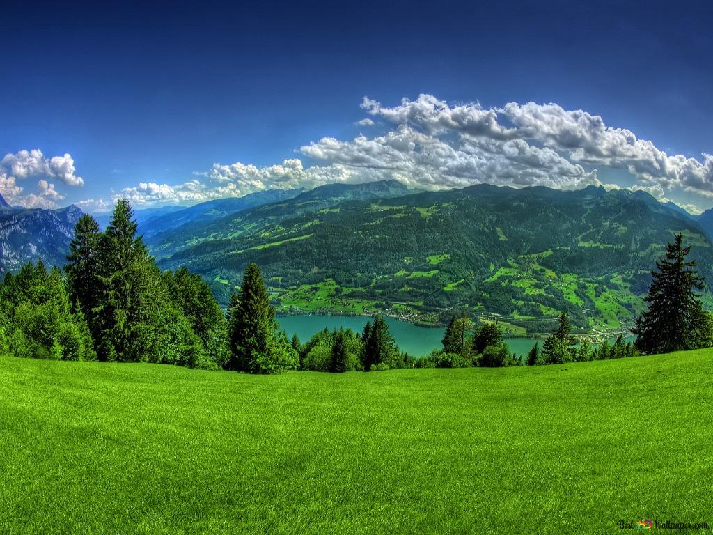 Grüne Wiese, Berge, See, Nadelbäume, Wolken, Hintergrundbild für iPad und Tablet