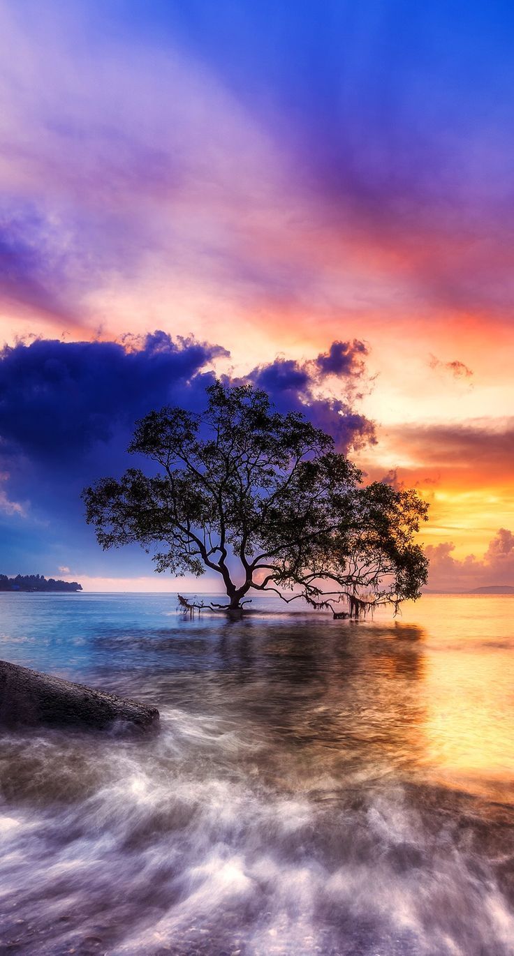 Einzelner Baum, See, Sonnenuntergang, Langzeitbelichtung, Bunter Himmel, HD, Handy-Hintergrundbild