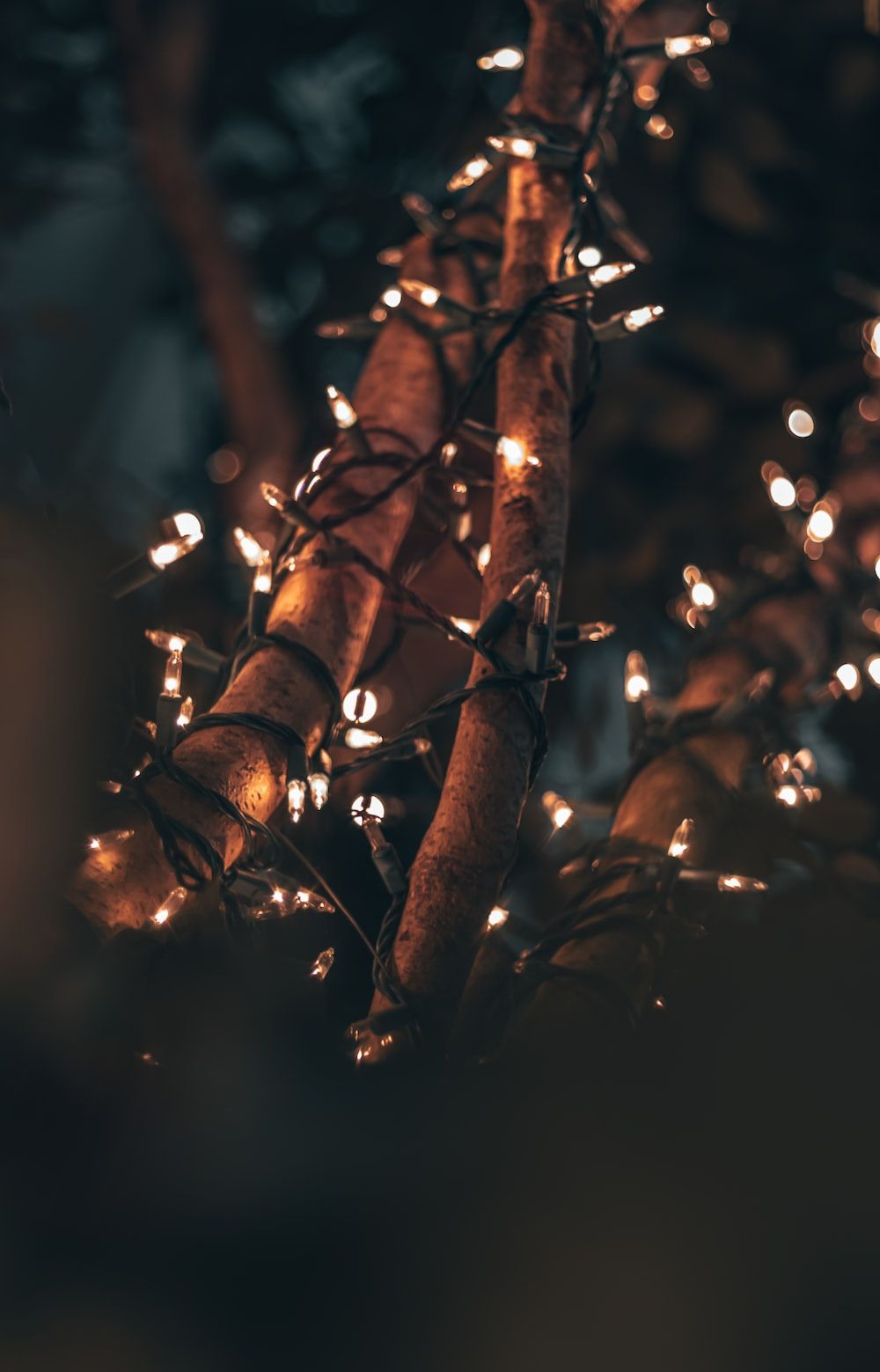 Lichterkette, Zweige, Bokeh, Dunkel, Warmes Licht, HD, Sperrbildschirm fürs iPhone