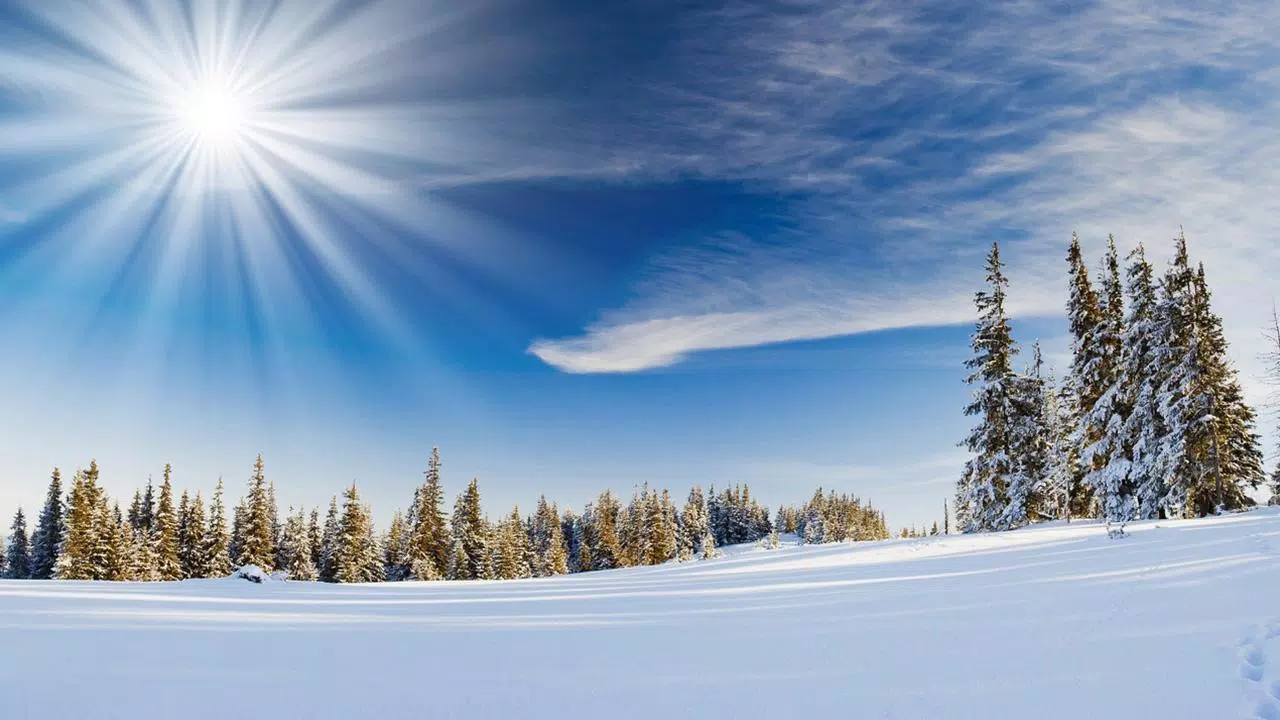 Schneelandschaft, Tannen, Sonne, Blauer Himmel, Winter, 16:9, HD-Hintergrundbild für den Desktop
