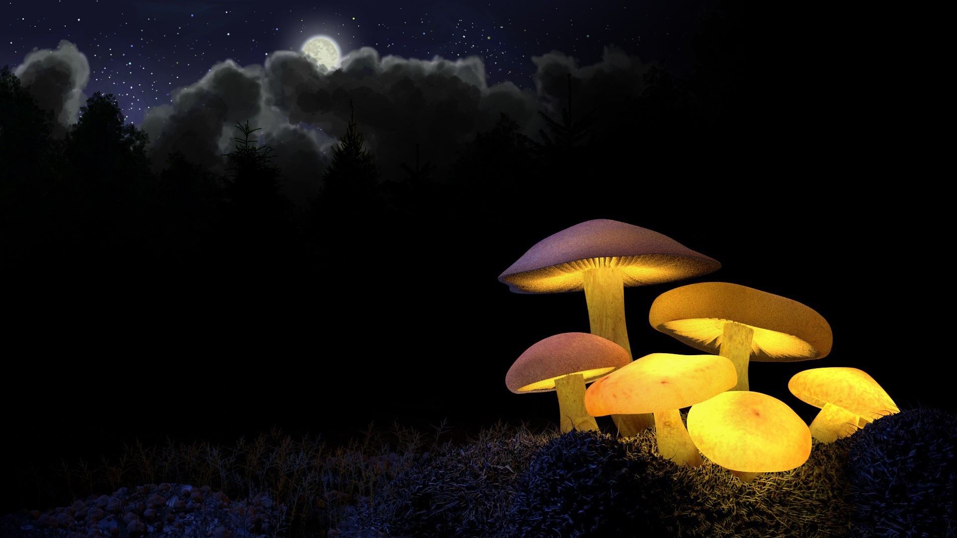 Leuchtende Pilze, Nacht, Mond, Fantasy, Dunkel, 1920x1080, Full-HD-Hintergrundbild für PC