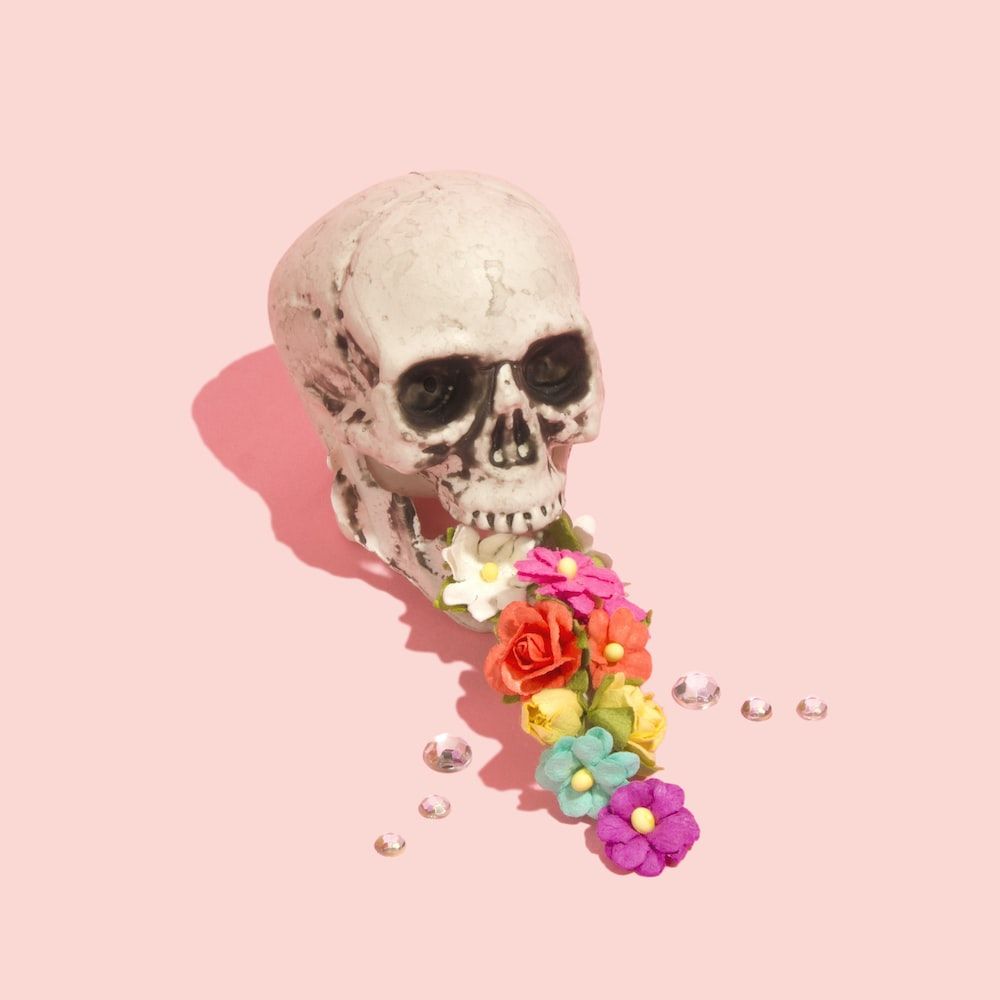 Totenkopf, Bunte Blumen, Rosa Hintergrund, Surreal, Minimalistisch, Wallpaper
