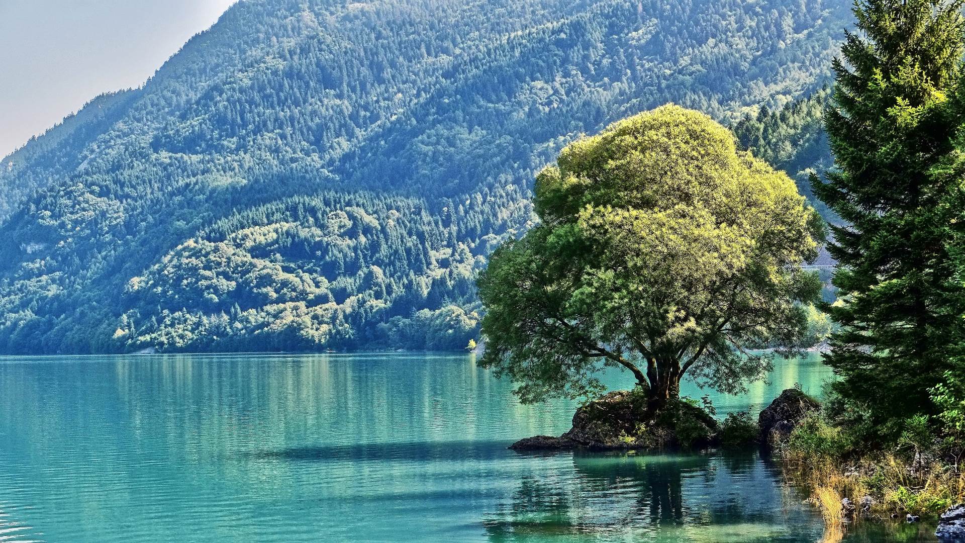 Bergsee, Baum, Türkises Wasser, Berge, Ufer, Full HD 1080p, Desktop-Hintergrundbild