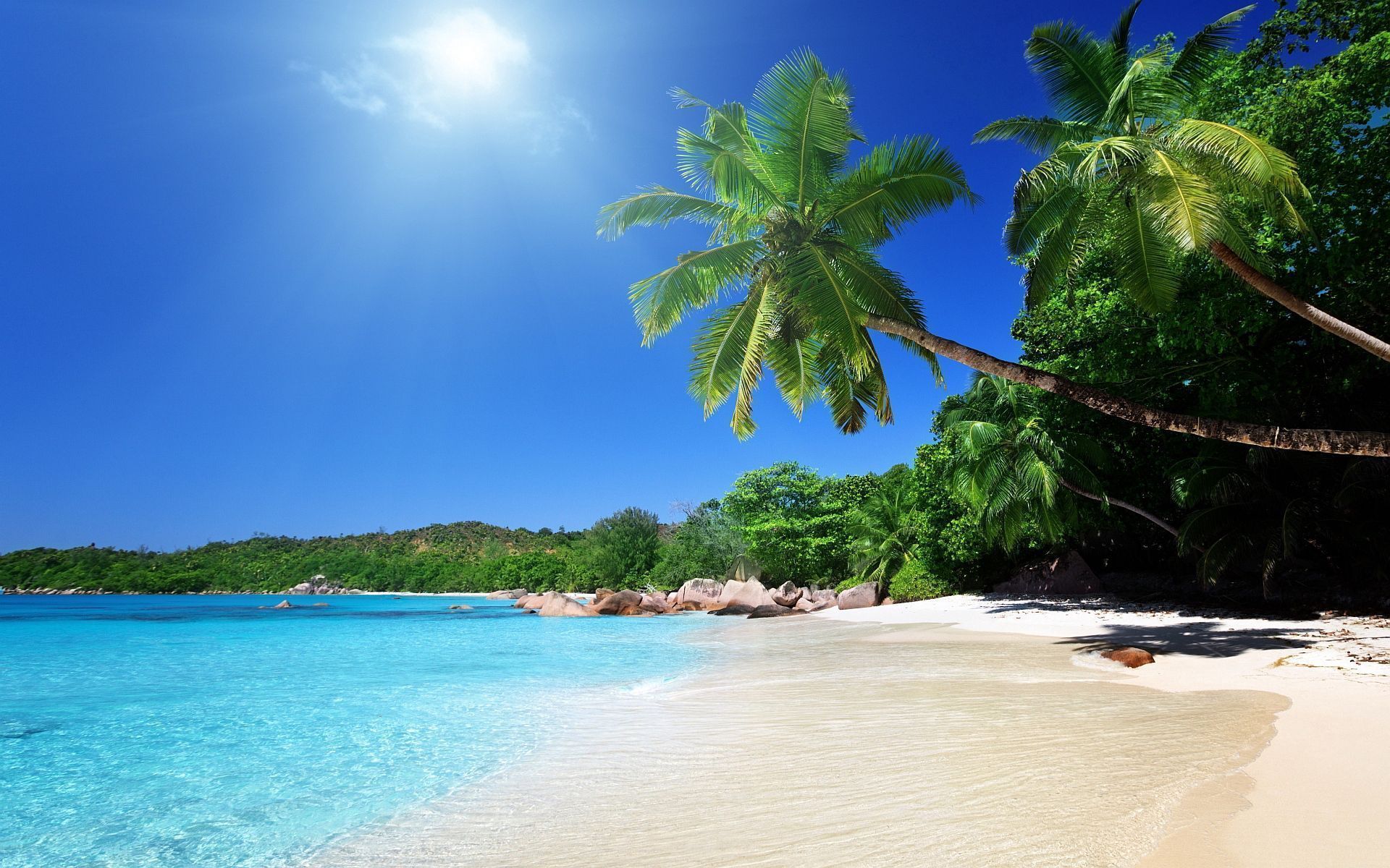 Palmen, Sandstrand, Türkises Meer, Tropen, Sonne, 16:10, Full-HD-Hintergrundbild für den Desktop