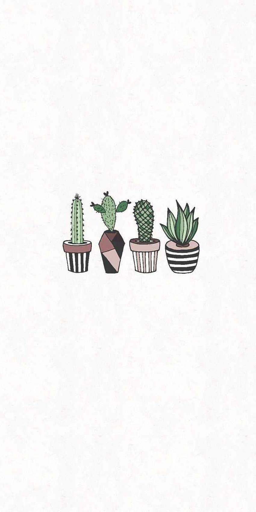 Topfkakteen, Sukkulenten, Weiß, Minimalistisch, Klein, Hintergrundbild für iPhone und Android
