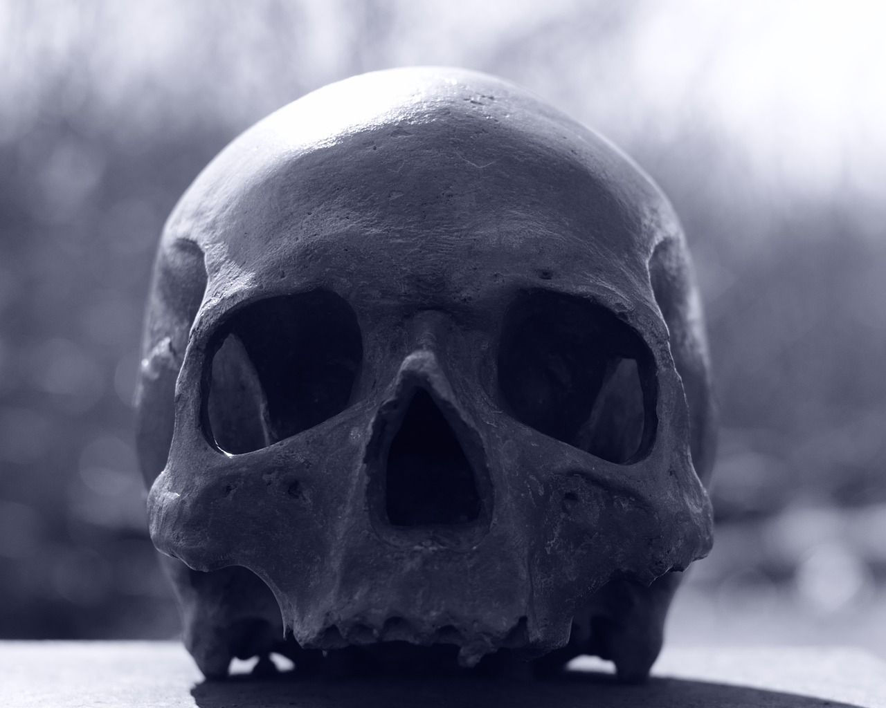 Totenkopf, Schwarz-Weiß, Nahaufnahme, Unschärfe, HD, Hintergrundbild für den PC