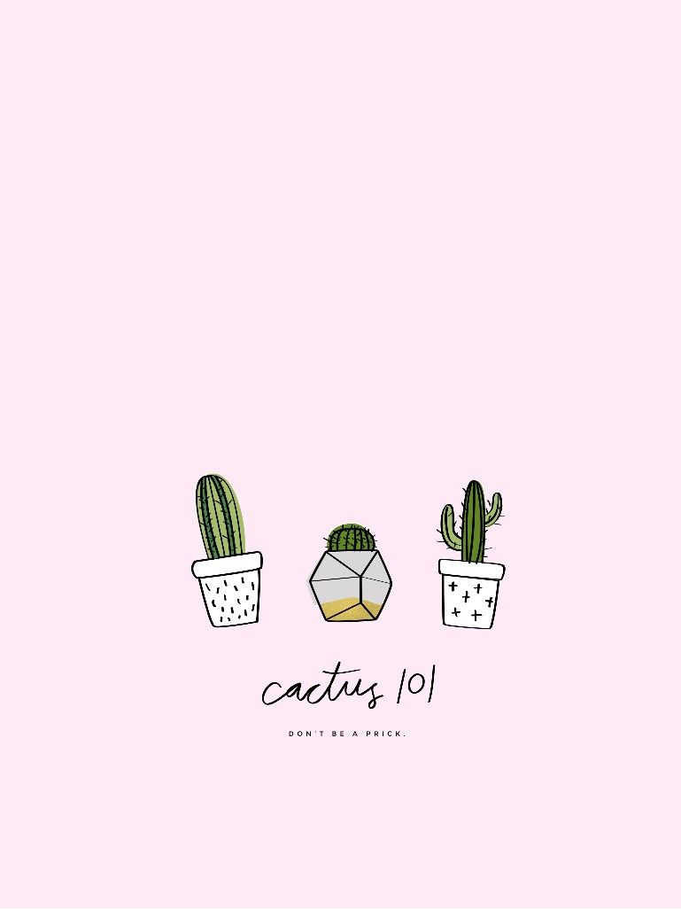 Topfkakteen, Cactus 101, Rosa, Minimalistisch, Handschrift, HD, Tablet-Hintergrund