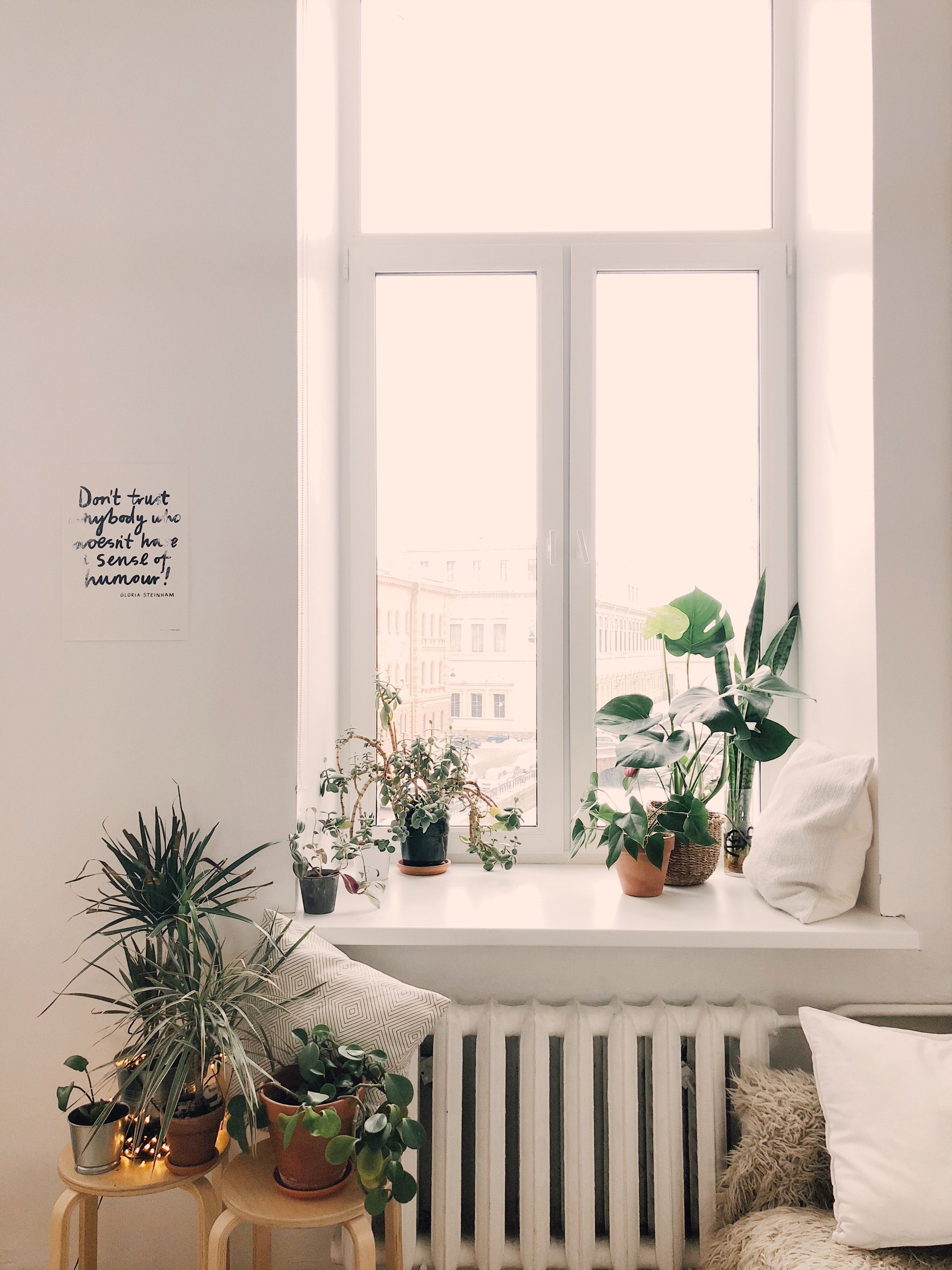 Fenster, Zimmerpflanzen, Heizkörper, Helles Interieur, Minimalismus, Hintergrundbild fürs Tablet