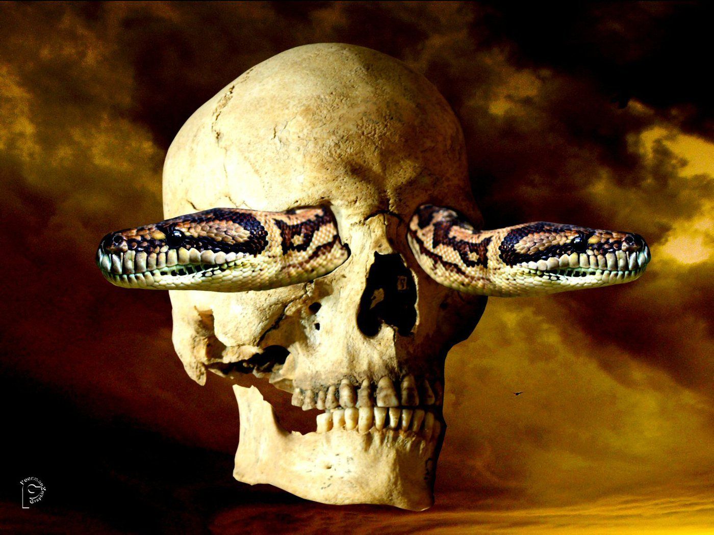 Totenkopf, Schlange, Surreal, Gelbe Wolken, Digitale Kunst, Hintergrundbild fürs iPad