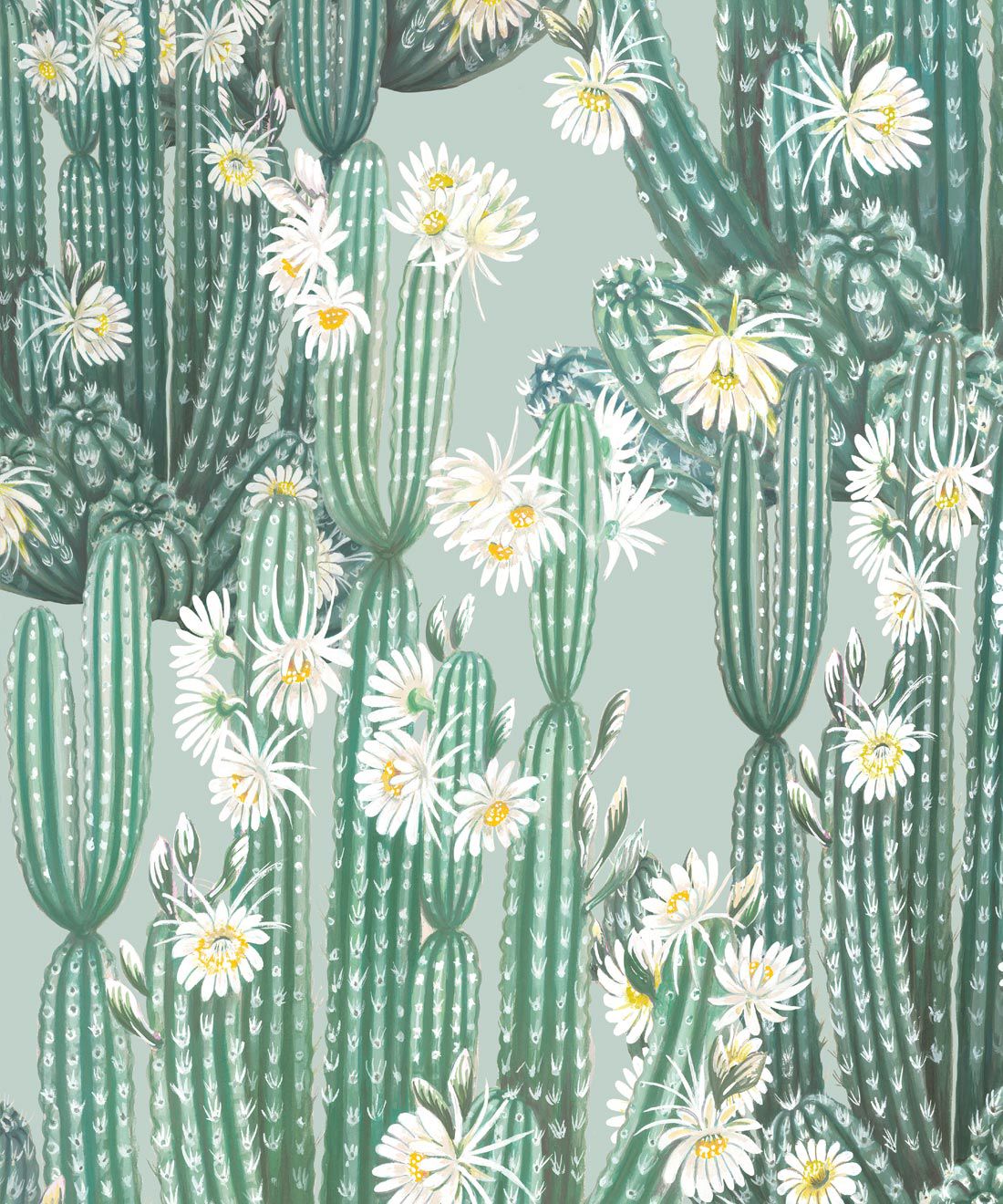 Säulenkakteen, Weiße Blüten, Illustration, Salbeigrün, Muster, Hintergrundbild fürs Tablet