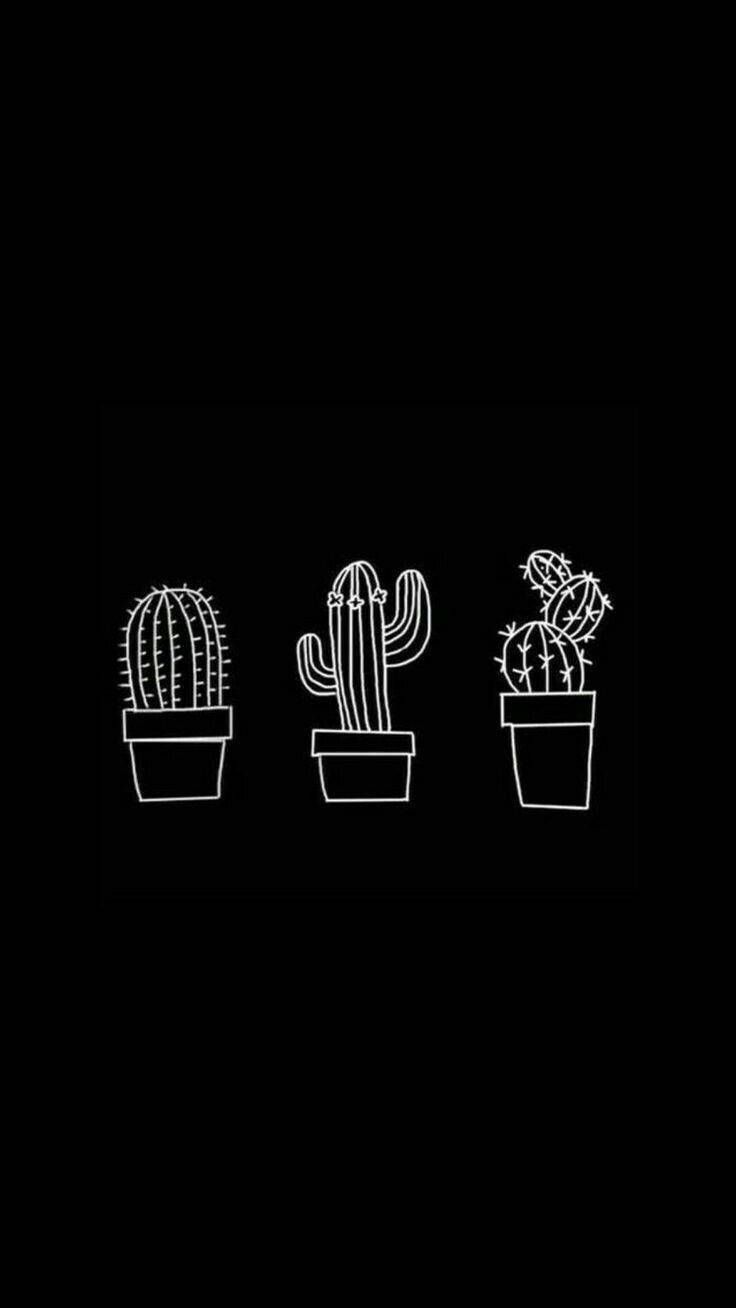 Topfkakteen, Strichzeichnung, Schwarzer Hintergrund, Minimalistisch, Weiße Linien, Sperrbildschirm