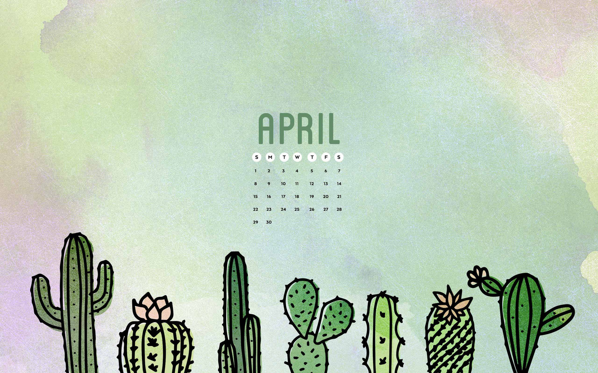 Kakteen, April, Kalender, Aquarell, Pastellfarben, 16:10, Full-HD-Hintergrundbild für den Desktop