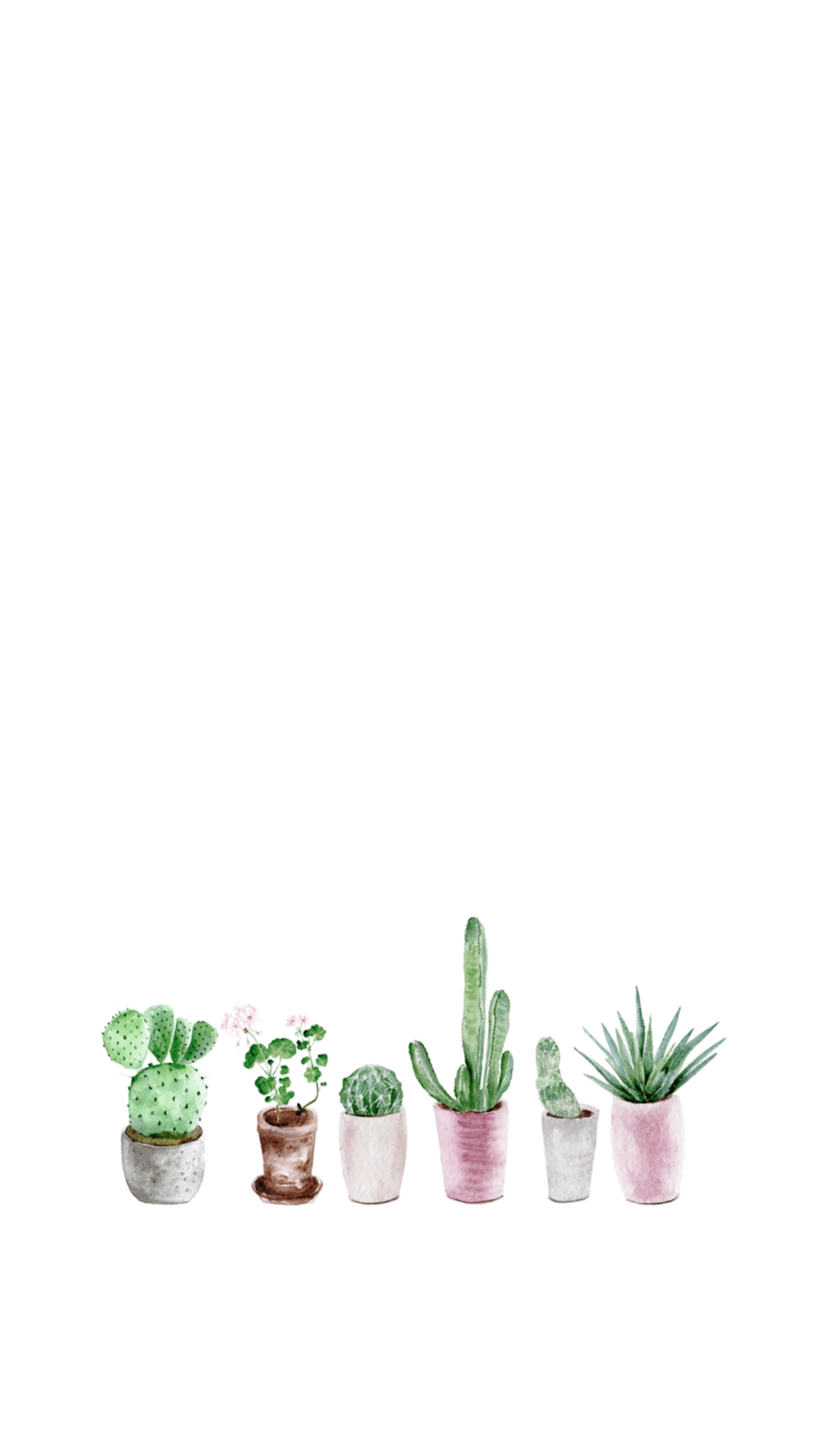 Topfkakteen, Sukkulenten, Weiß, Minimalistisch, Klein, Full HD, Sperrbildschirm fürs iPhone