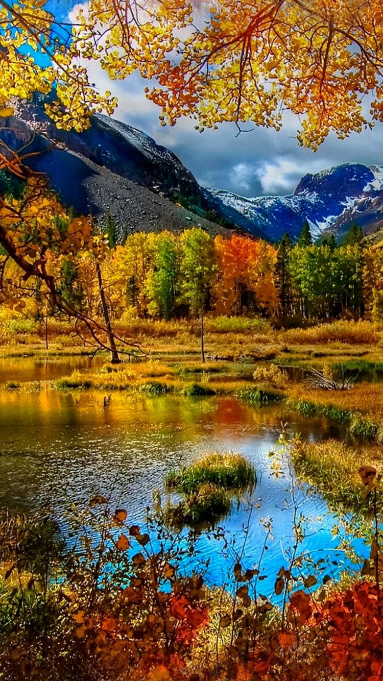 Herbst, Teich, Berge, Buntes Laub, Spiegelung, Hintergrundbild für iPhone und Android
