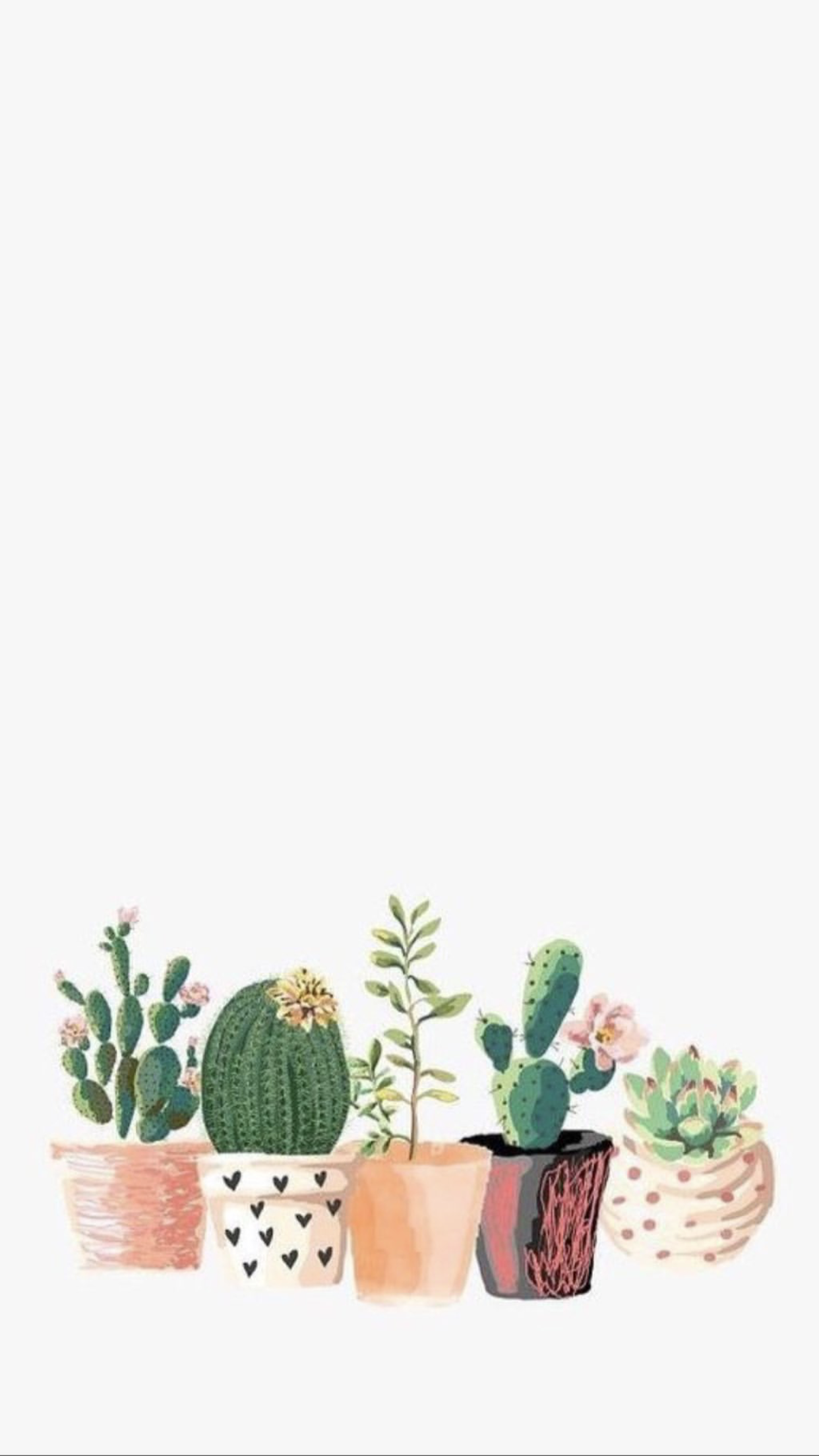Topfkakteen, Sukkulenten, Aquarell, Weißer Hintergrund, Minimalistisch, Sperrbildschirm fürs iPhone