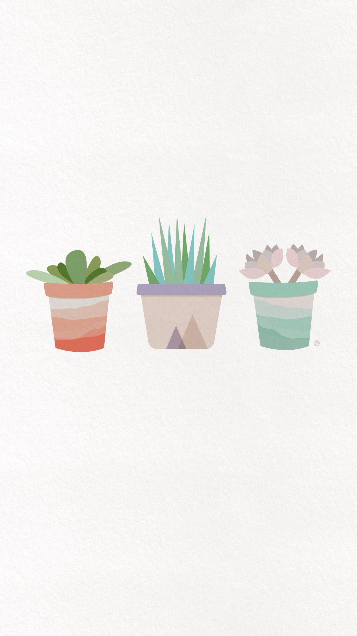 Sukkulenten, Pastelltöpfe, Aquarell, Weiß, Minimalistisch, Full HD, Handy-Hintergrund