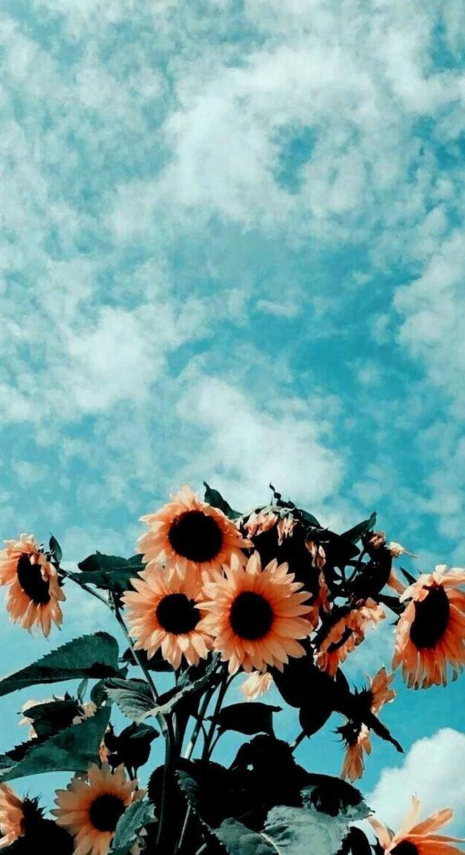 Sonnenblumen, Wolkenhimmel, Türkis, Malerei, Sommer, Hochformat, Hintergrundbild fürs Smartphone