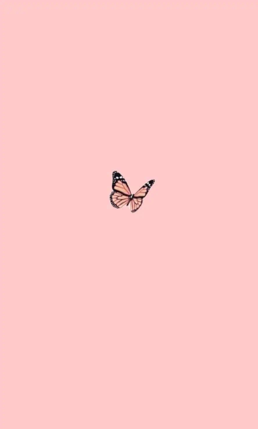 Schmetterling, Rosa Hintergrund, Minimalistisch, HD, Sperrbildschirm fürs iPhone