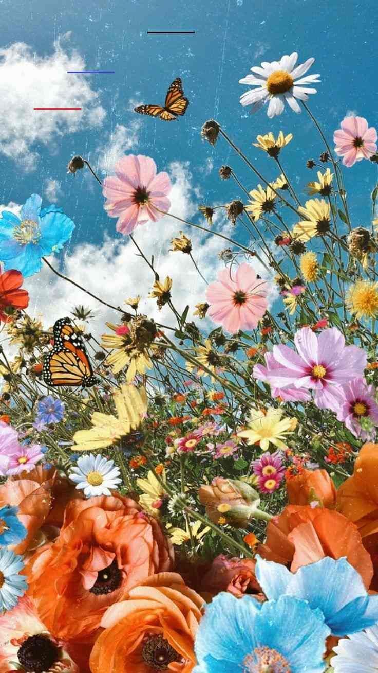 Wildblumen, Schmetterlinge, Bunte Blüten, Collage, Blauer Himmel, Hintergrundbild fürs Handy