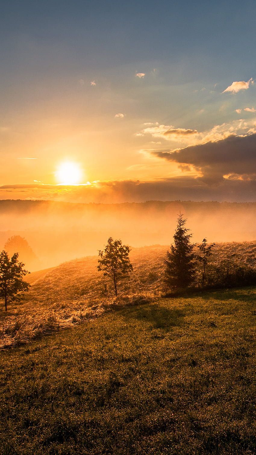Sonnenaufgang, Nebel, Hügel, Bäume, Goldenes Licht, Hintergrundbild für iPhone und Android