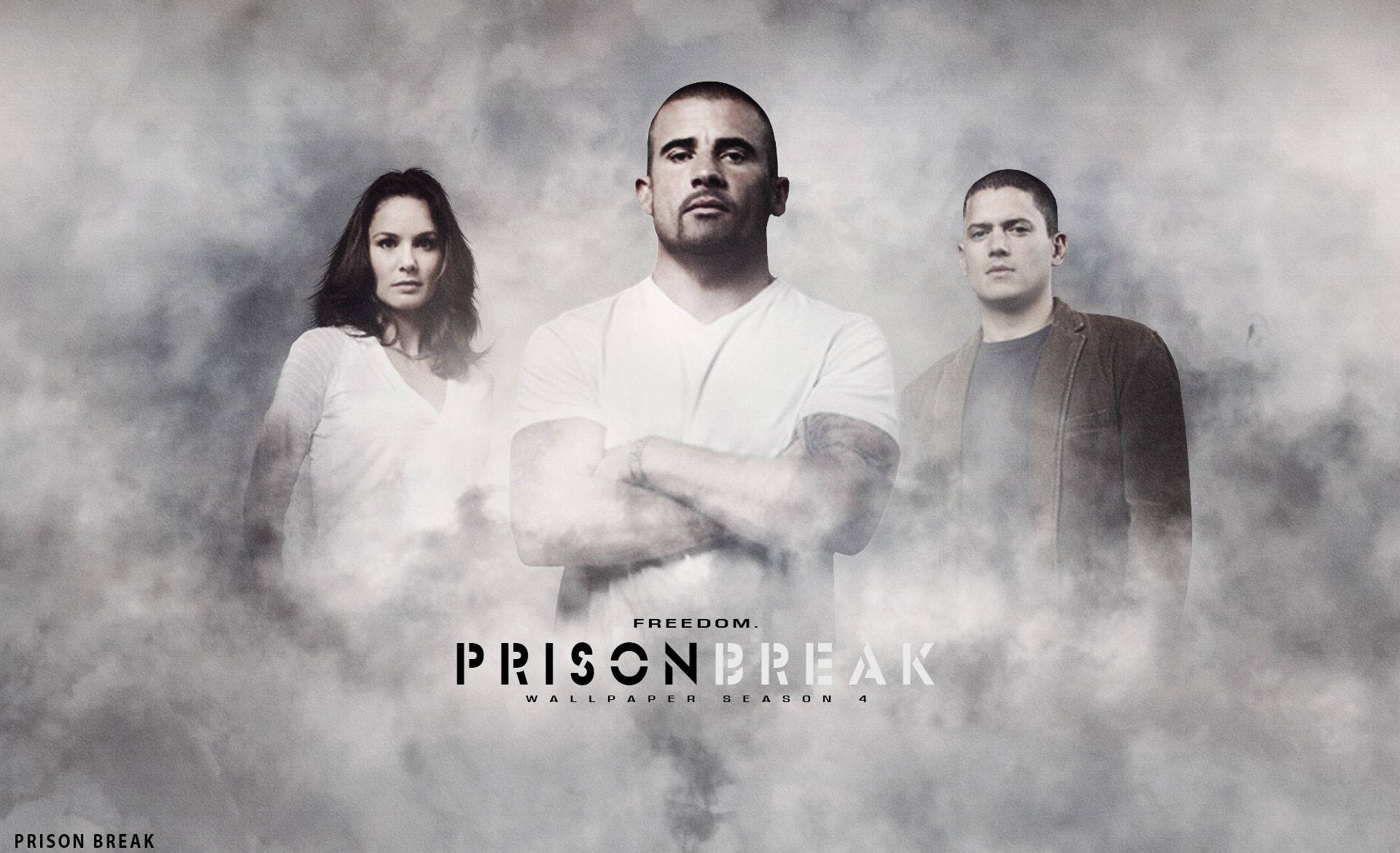 Prison Break, Sara Tancredi, Lincoln Burrows, Michael Scofield, Nebel, Full HD, PC-Hintergrundbild