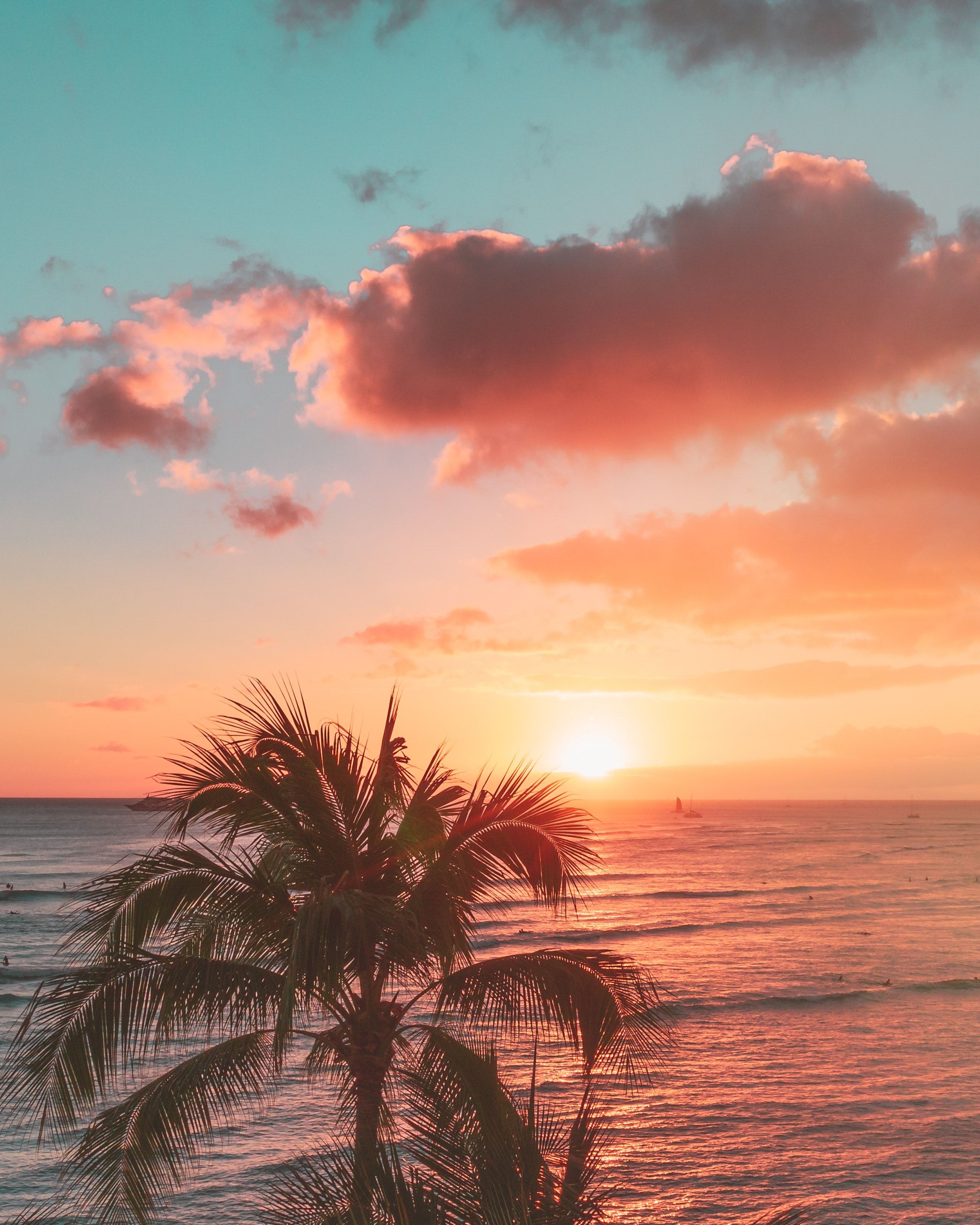 Palme, Meer, Sonnenuntergang, Wolken, Türkis, QHD+, iPad-Hintergrundbild