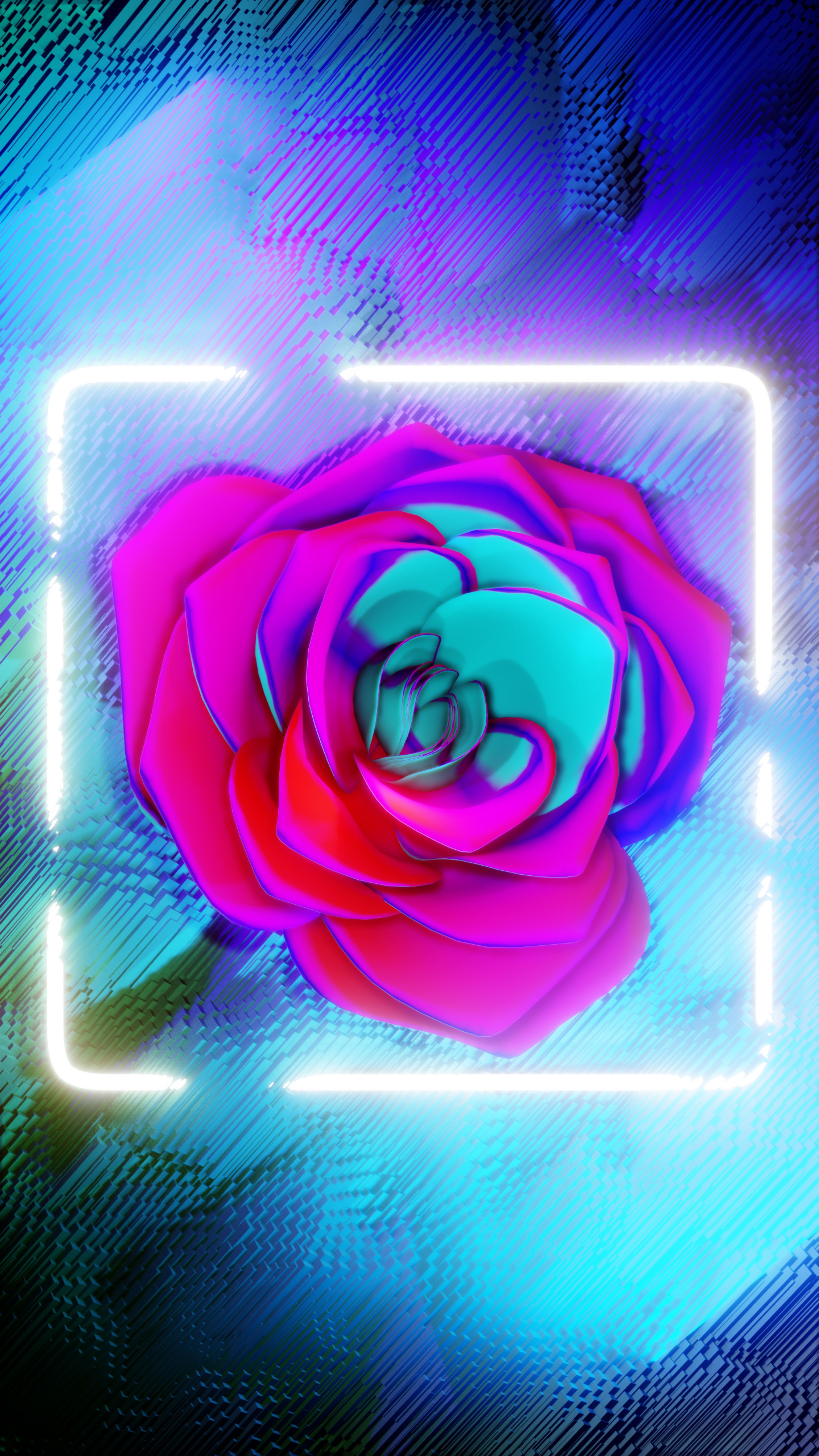 Rose, Neonrahmen, Pink, Türkis, Blume, QHD+, Sperrbildschirm fürs iPhone