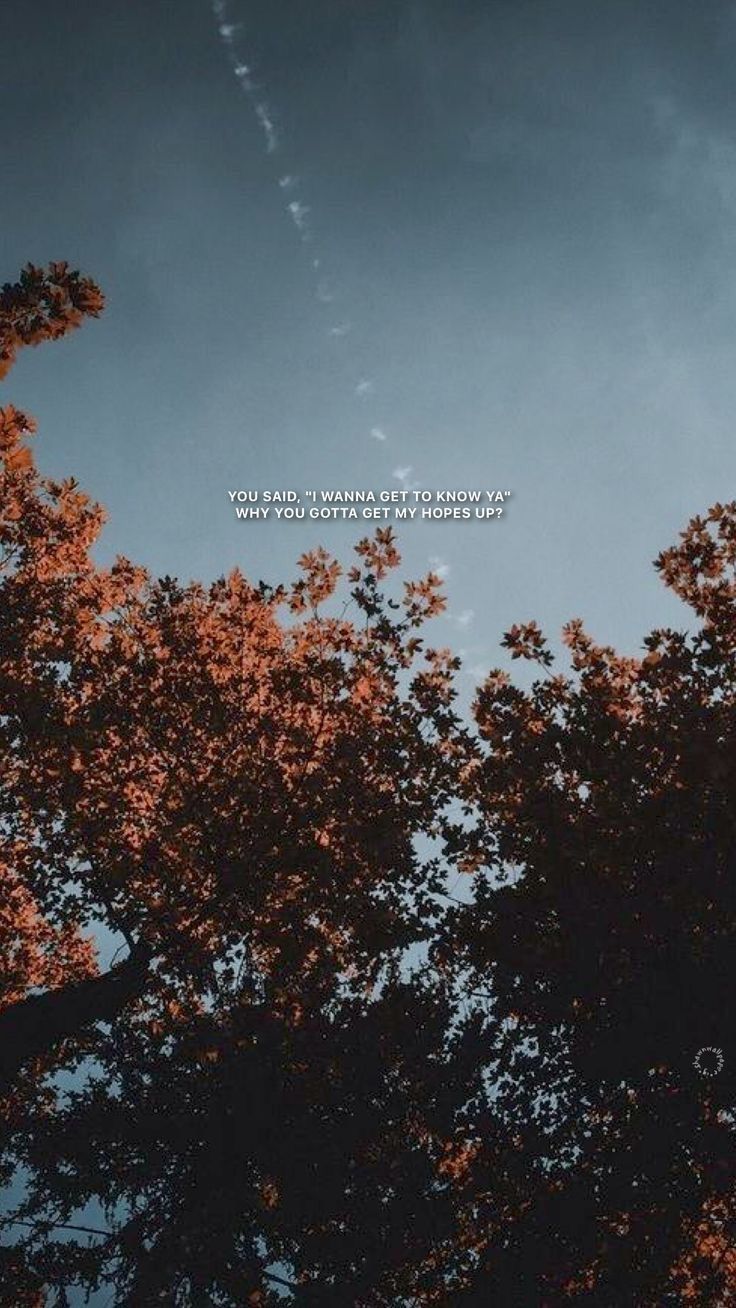 Herbstbaum, Himmel, Kondensstreifen, Zitat, Froschperspektive, Hintergrundbild fürs Handy