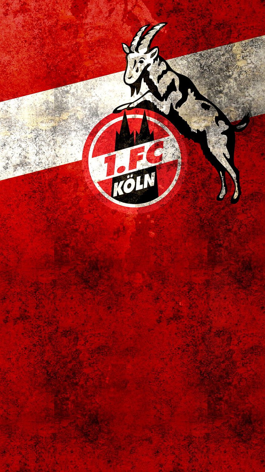 1. FC Köln, Geißbock, Vereinswappen, Rot-weiß, Hintergrundbild für iPhone und Android